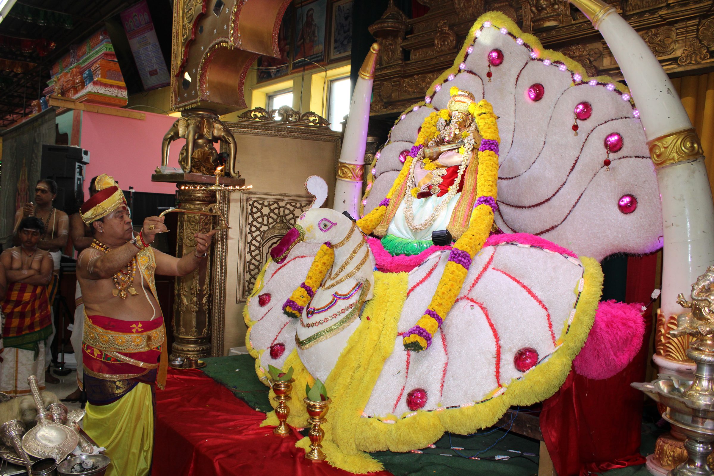 Festival 2024 photo