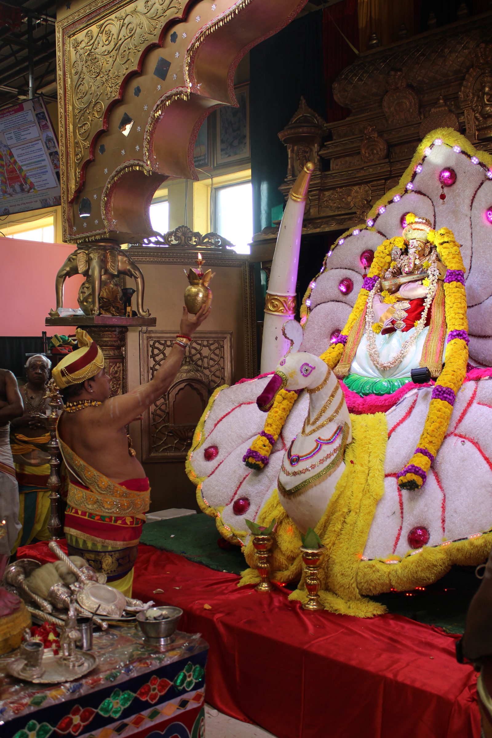 Festival 2024 photo