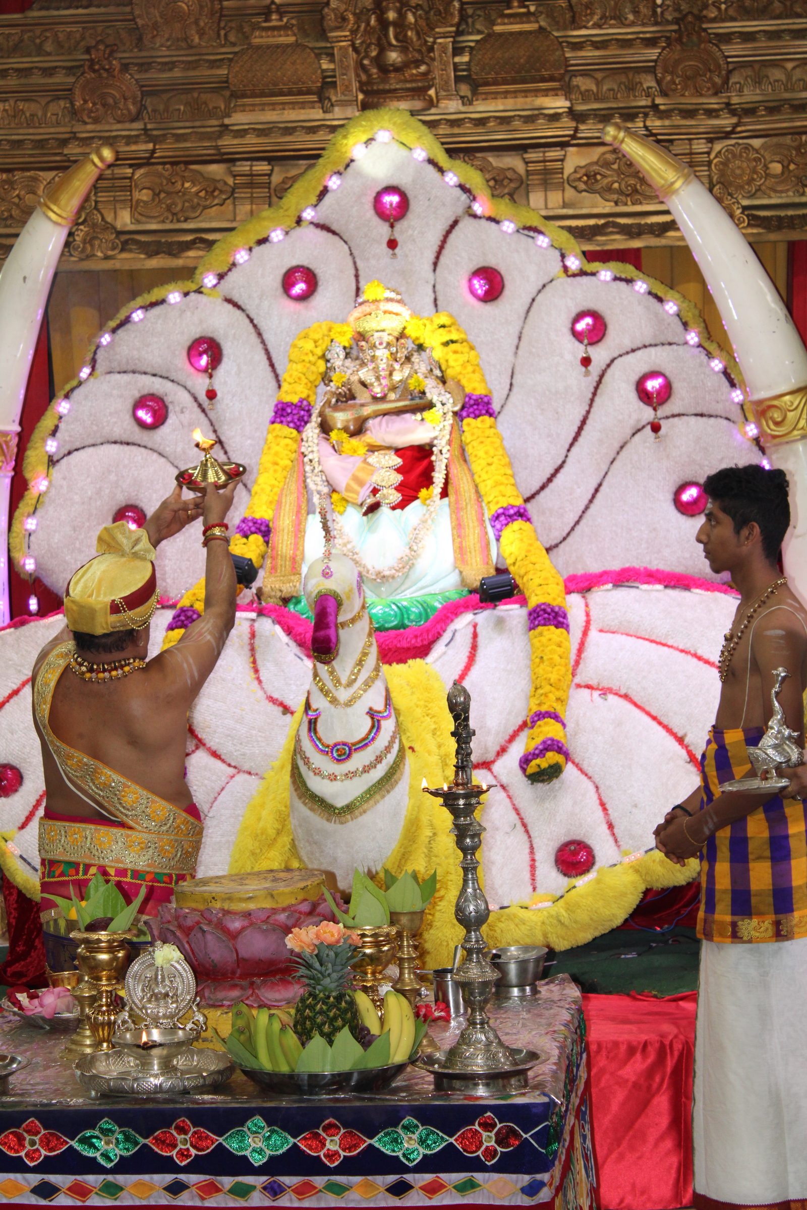Festival 2024 photo