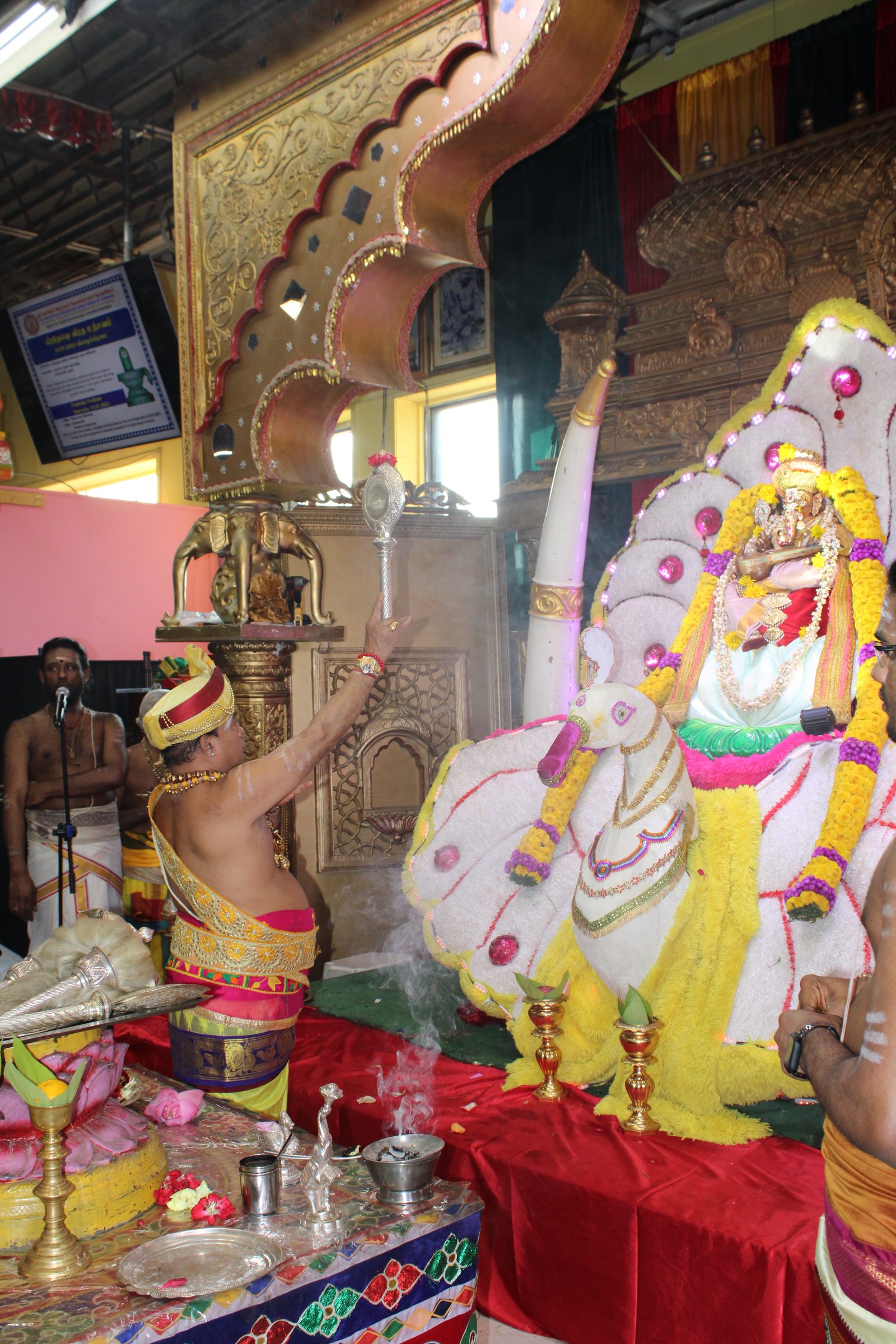 Festival 2024 photo