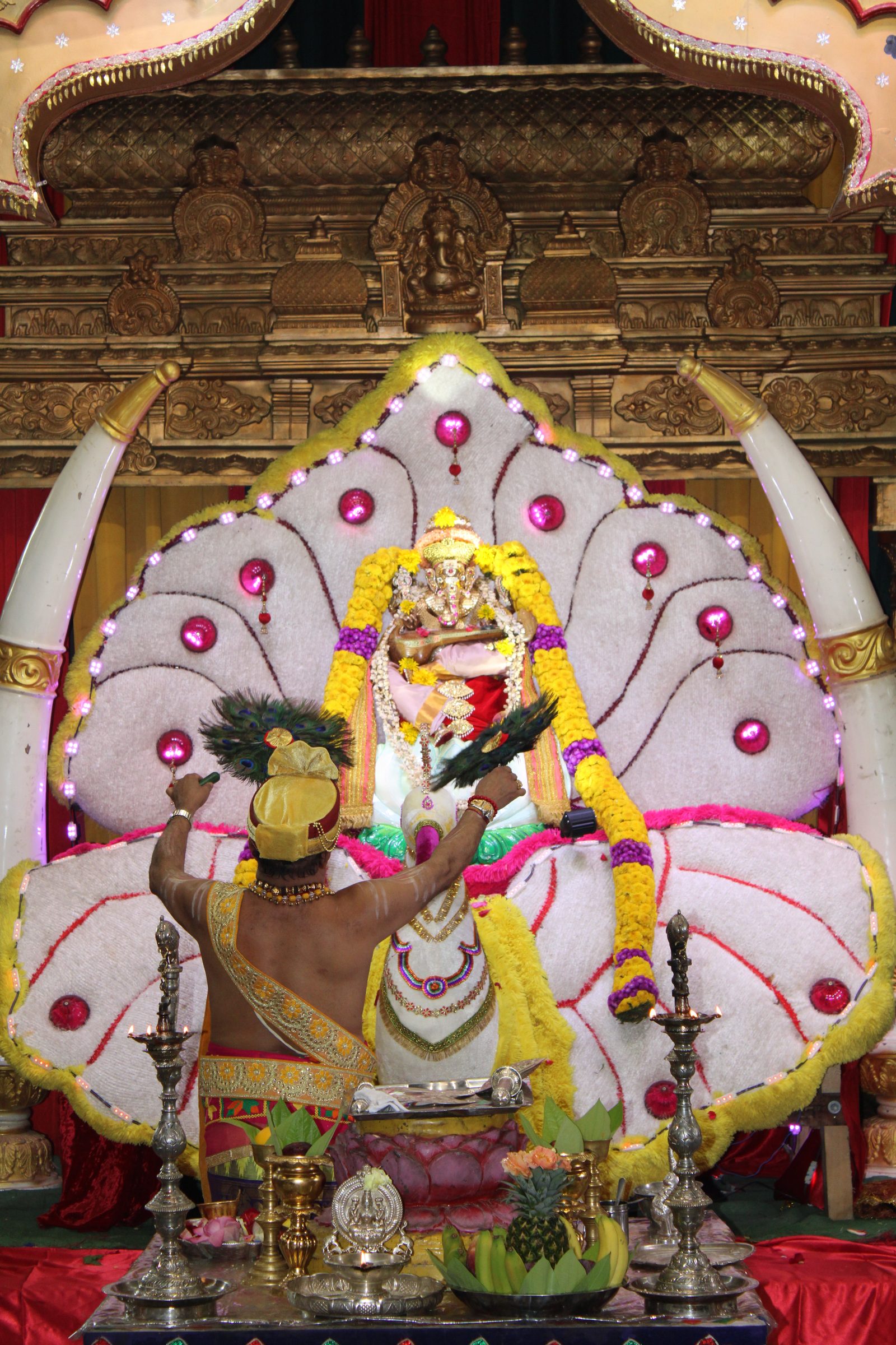 Festival 2024 photo