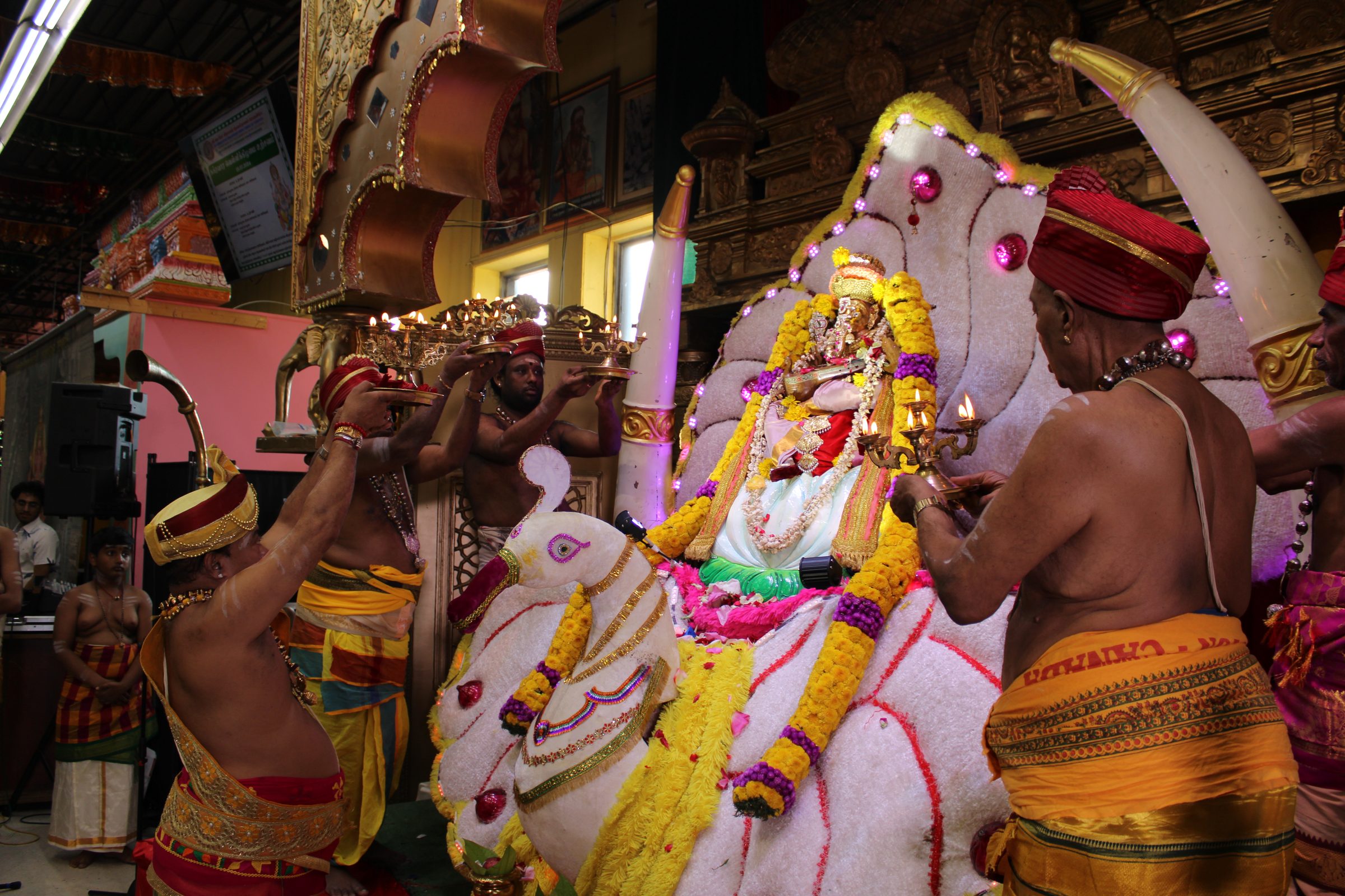 Festival 2024 photo