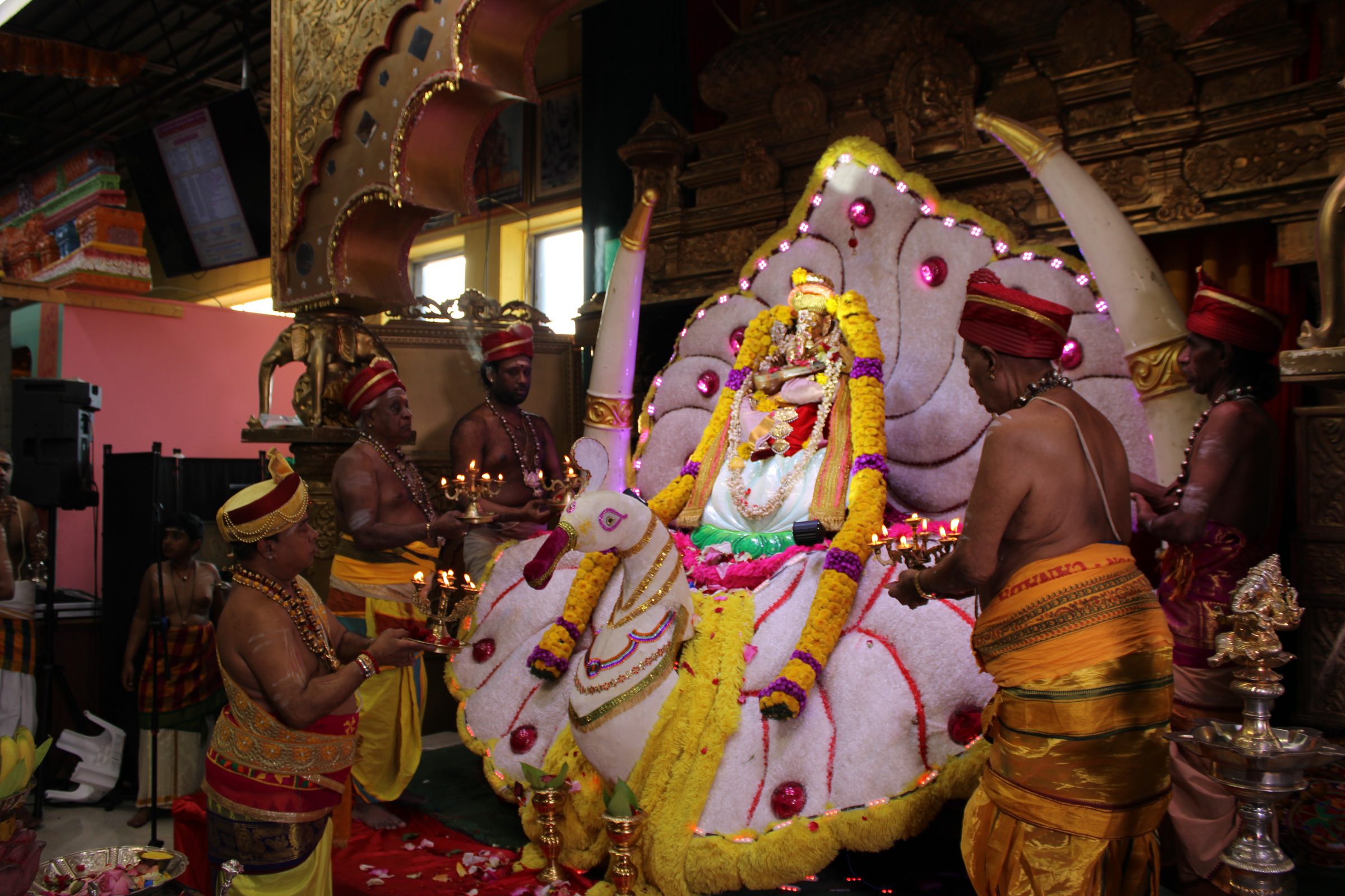 Festival 2024 photo