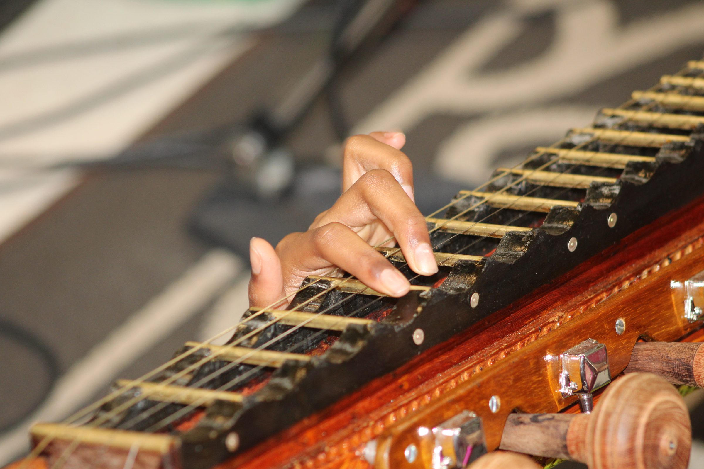 Festival 2024 photo