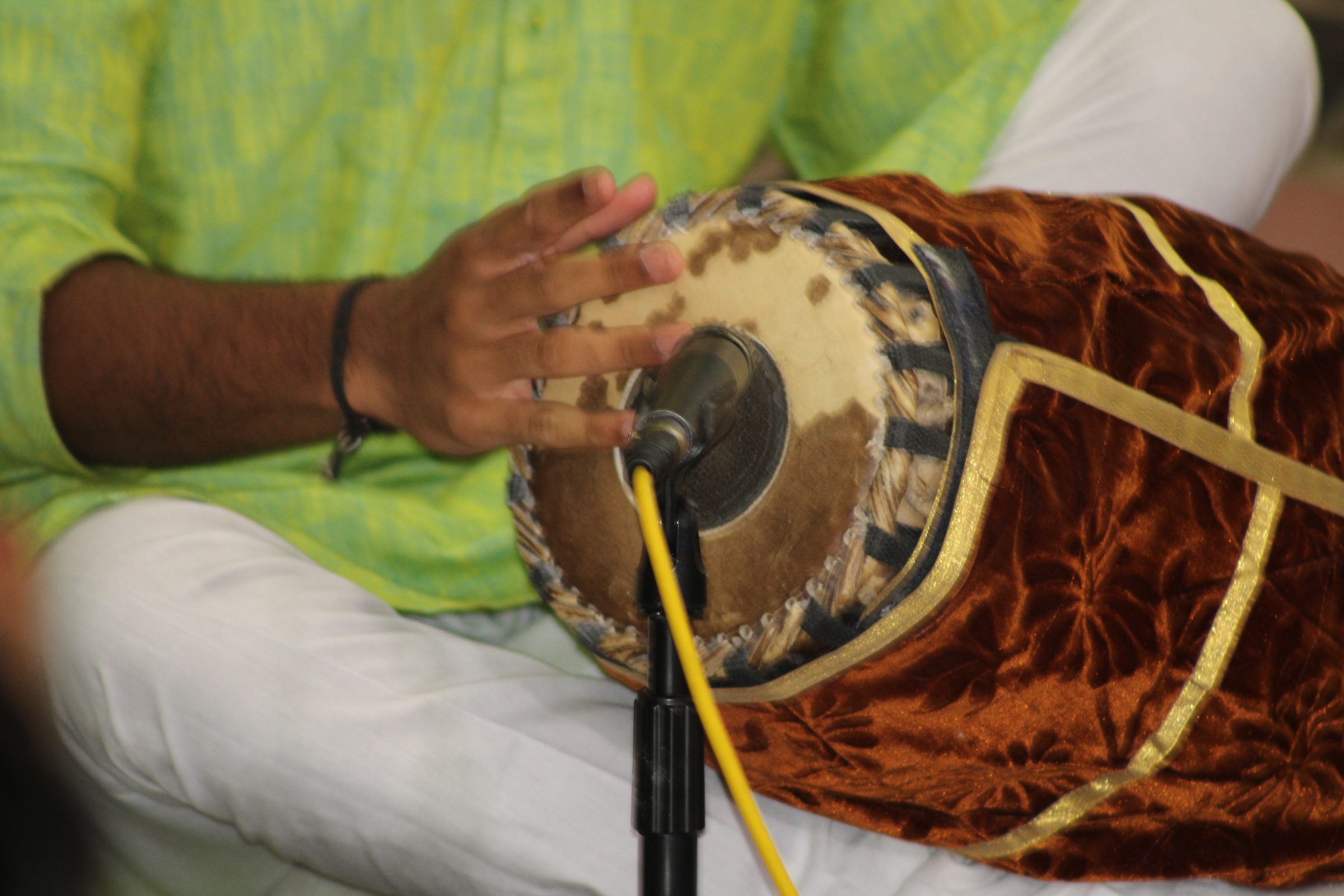 Festival 2024 photo