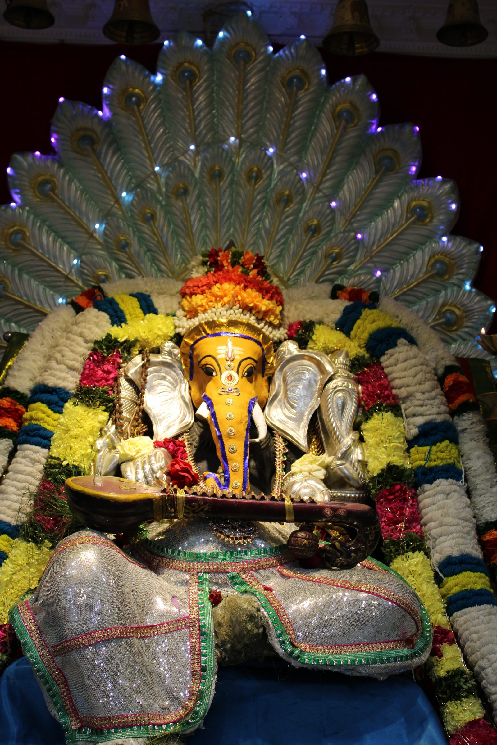 Festival 2024 photo