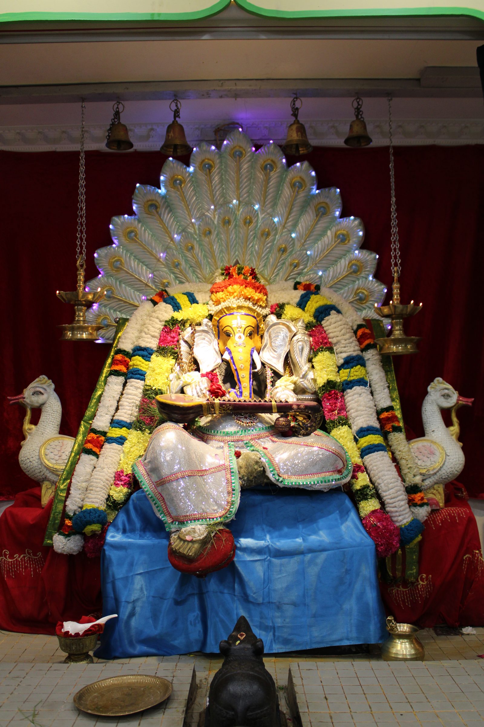 Festival 2024 photo
