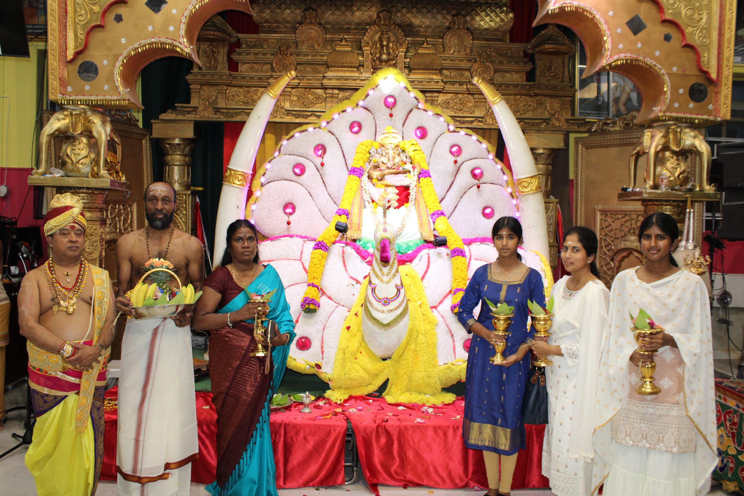 Festival 2024 photo