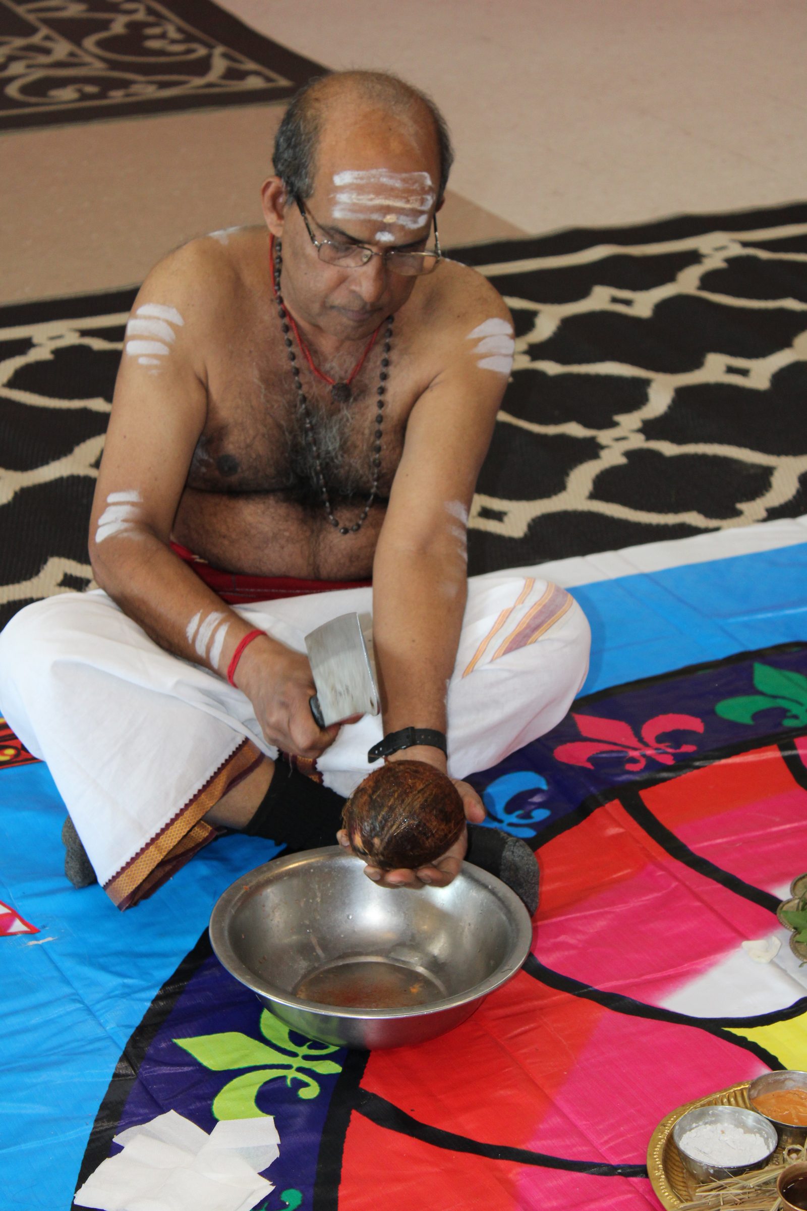 Festival 2024 photo