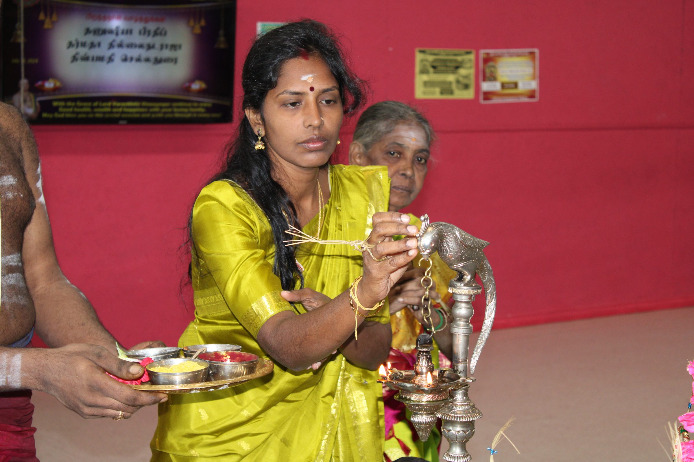 Festival 2024 photo