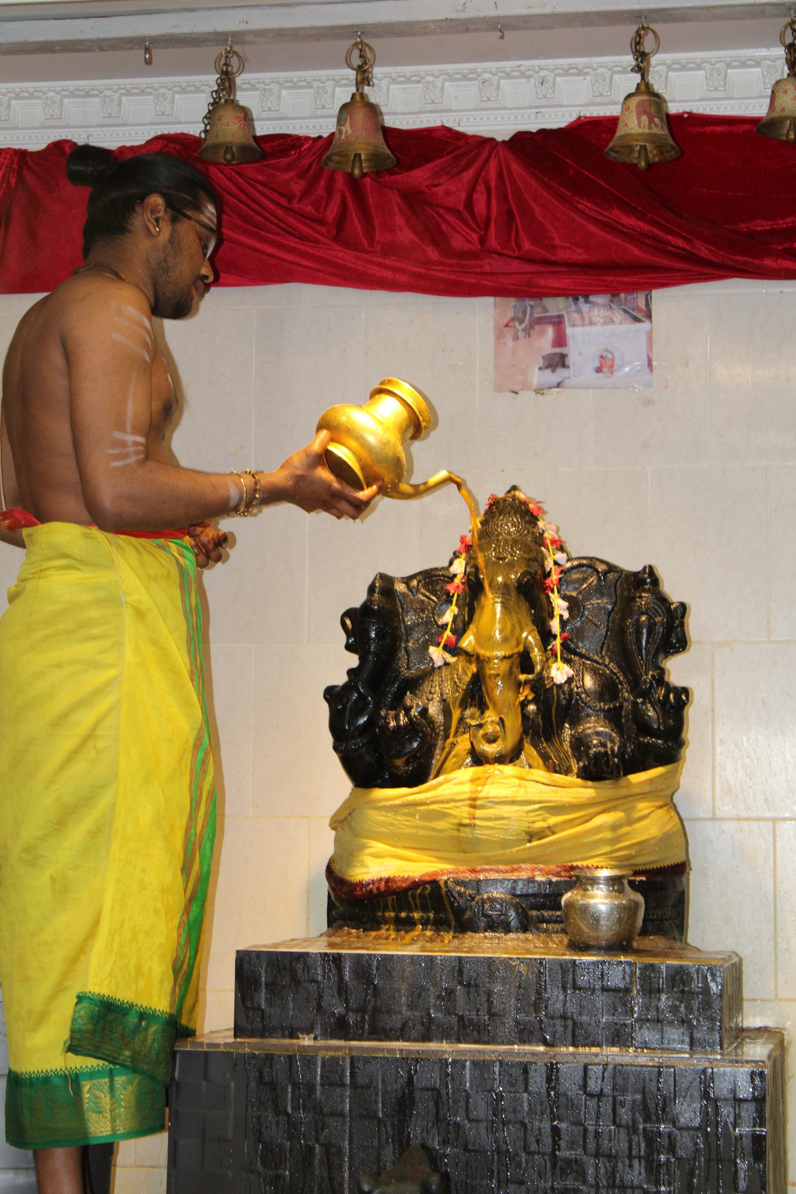 Festival 2024 photo