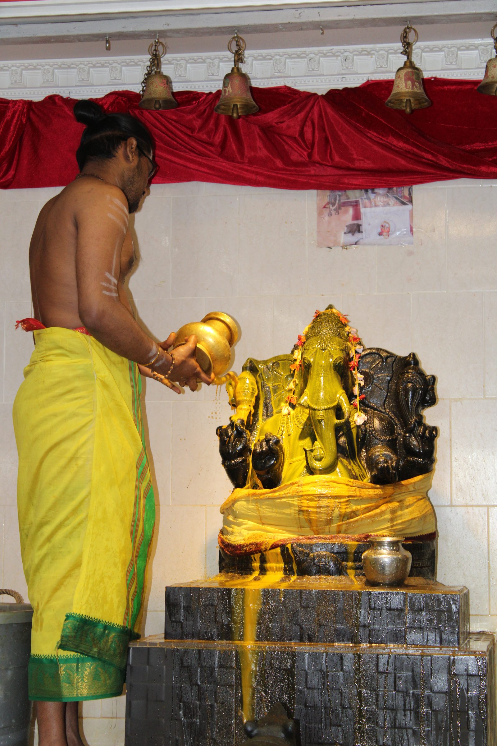Festival 2024 photo