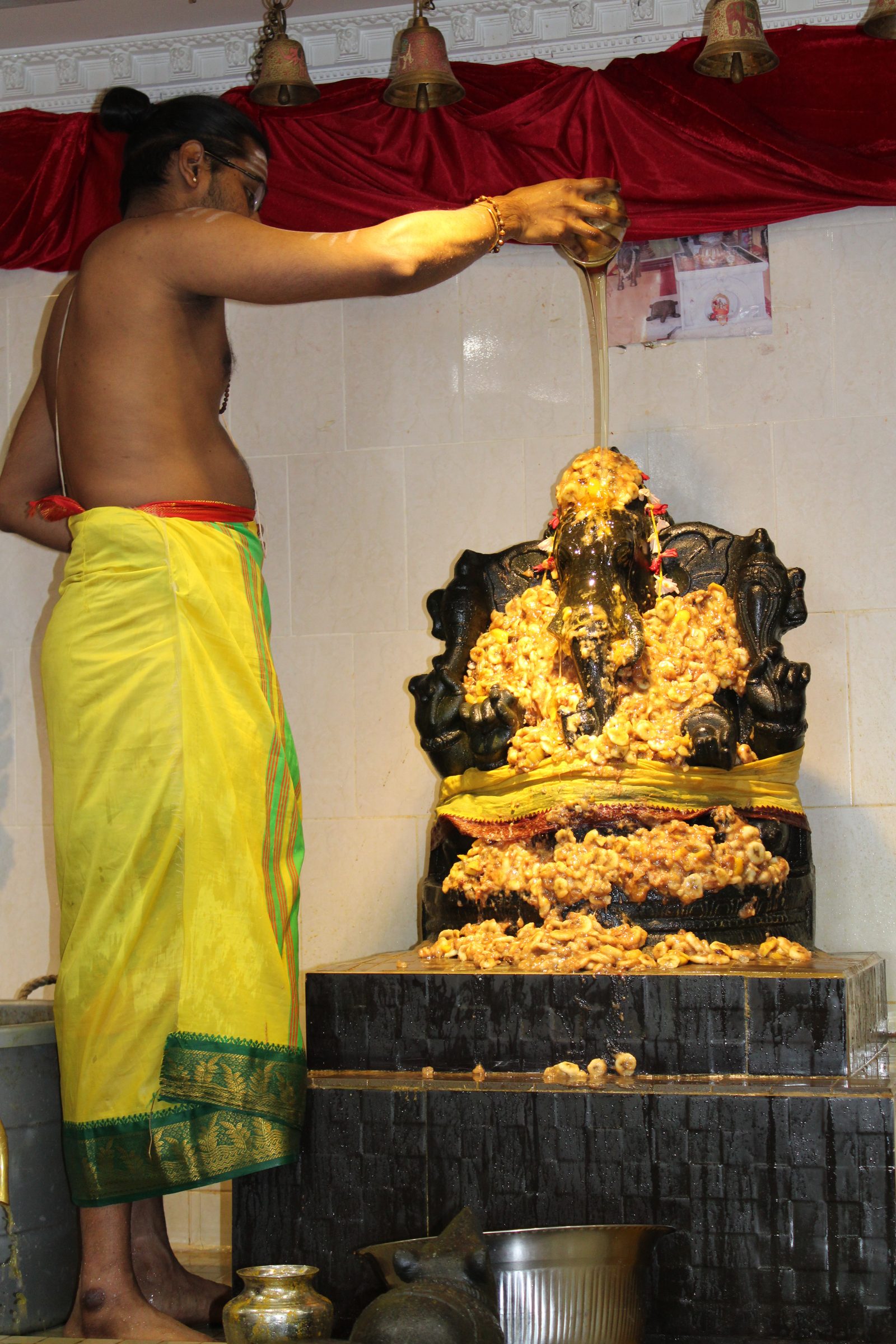 Festival 2024 photo