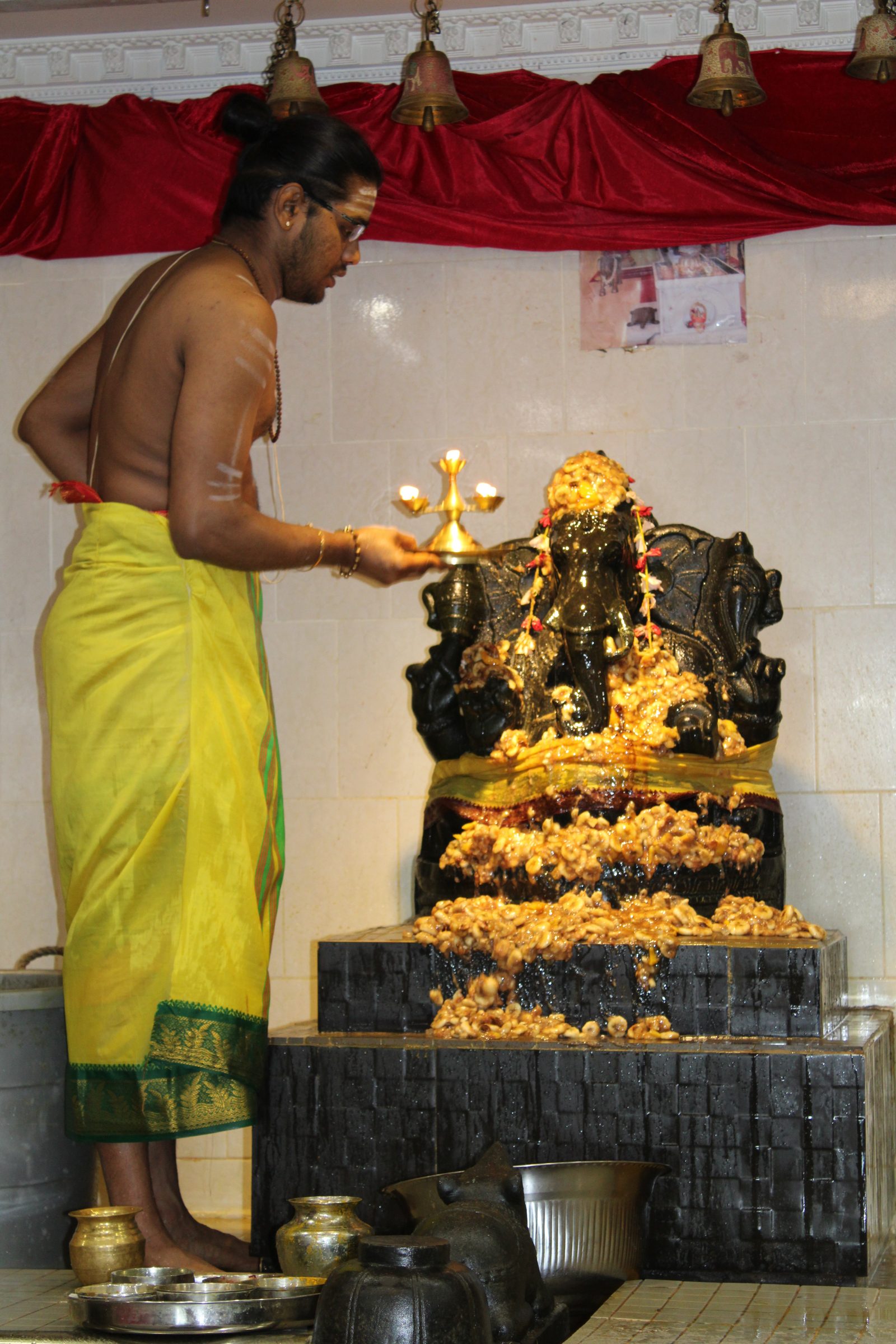 Festival 2024 photo