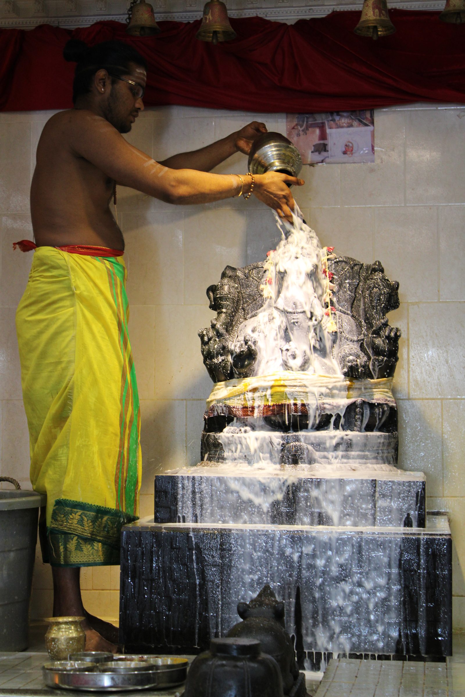 Festival 2024 photo