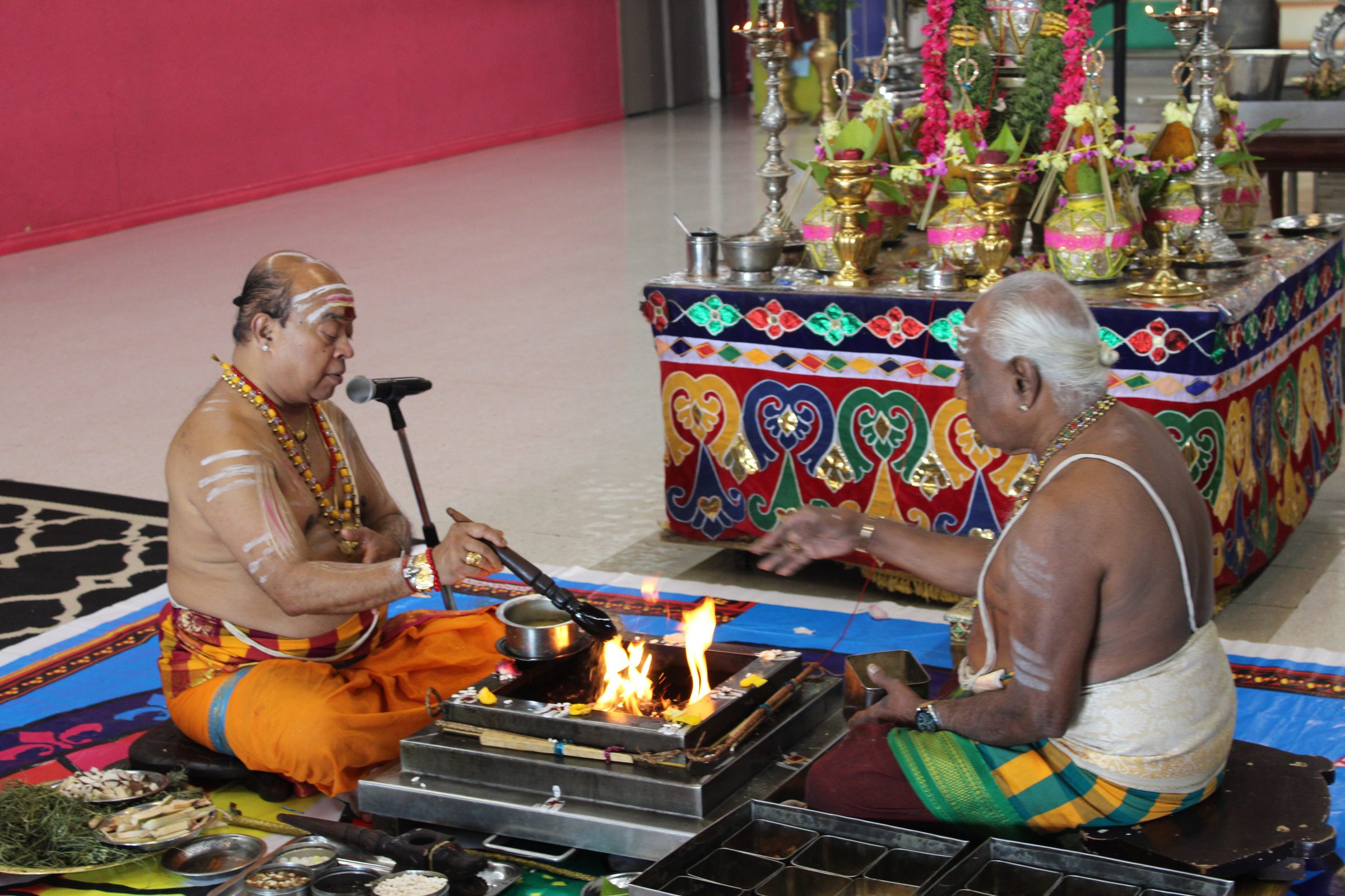 Festival 2024 photo