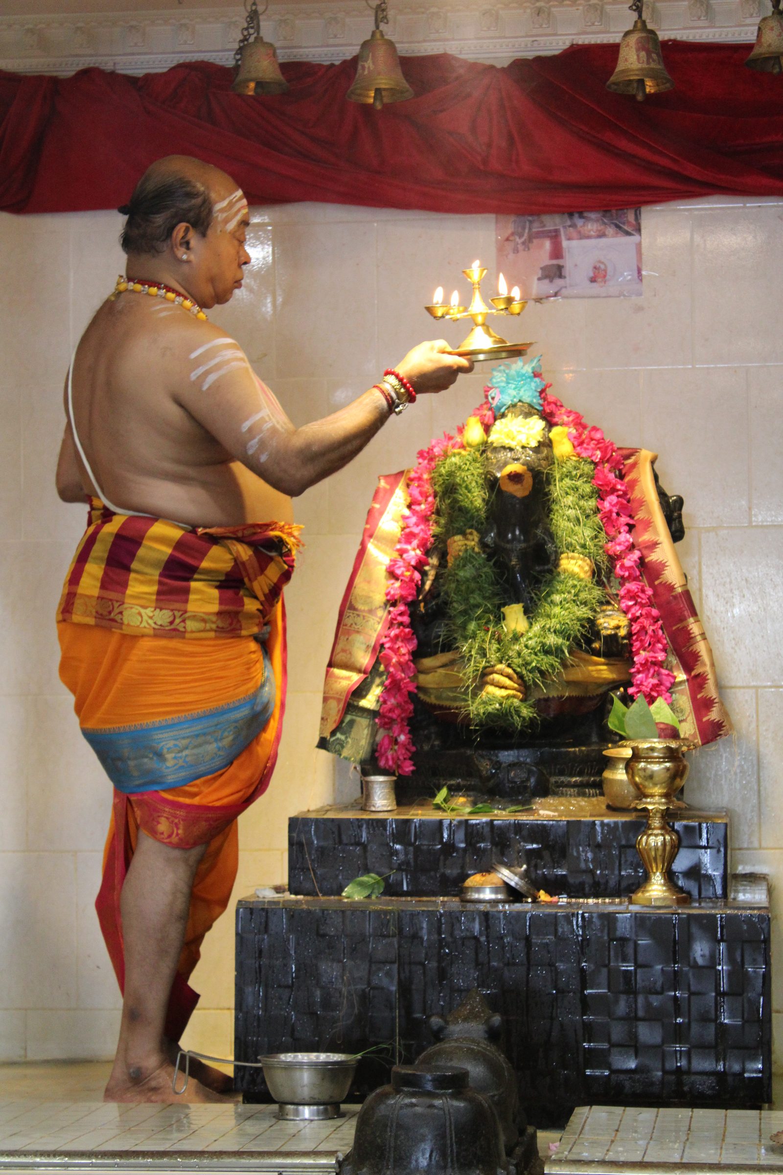Festival 2024 photo