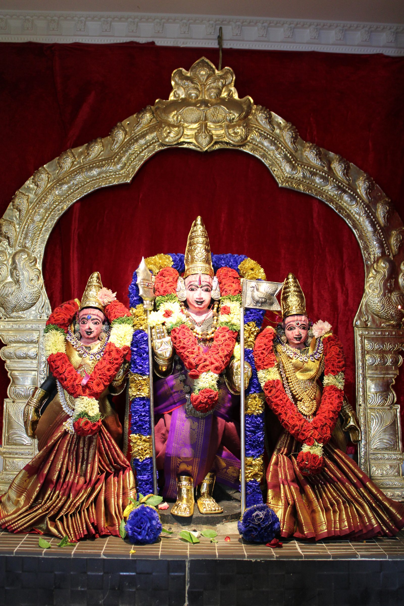 Festival 2024 photo