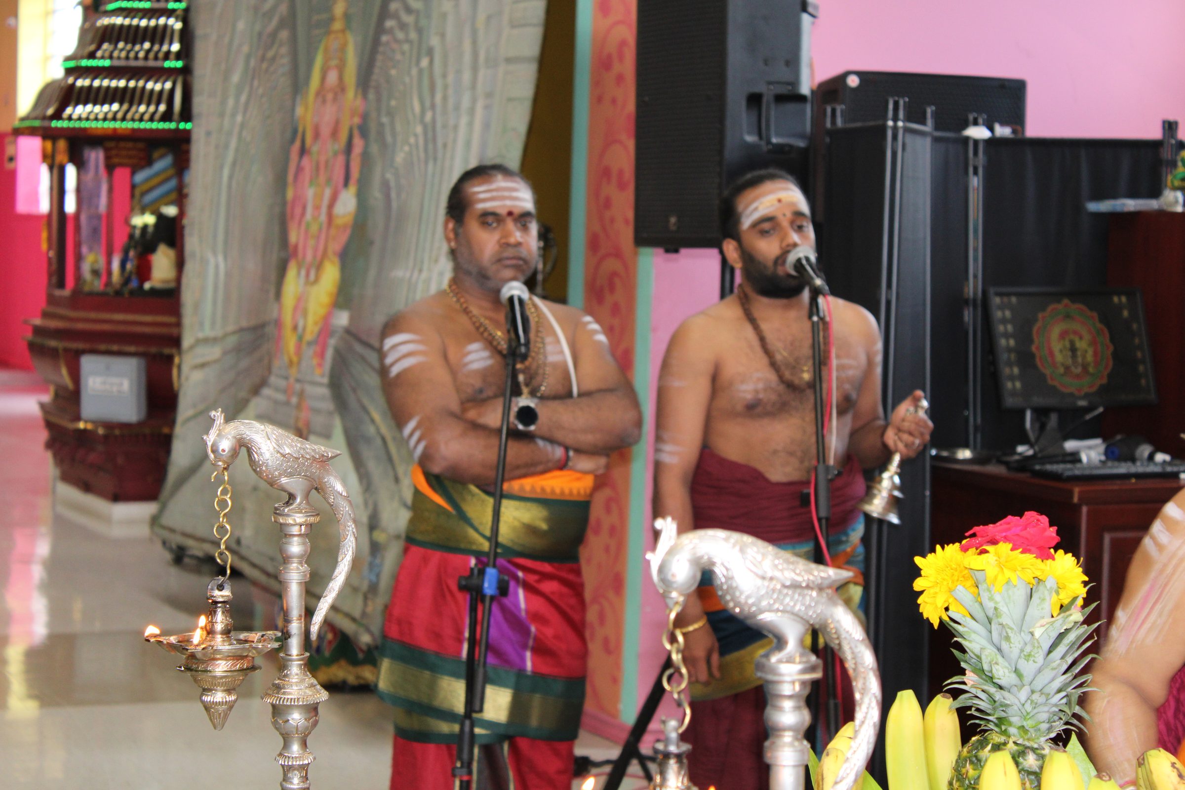 Festival 2024 photo