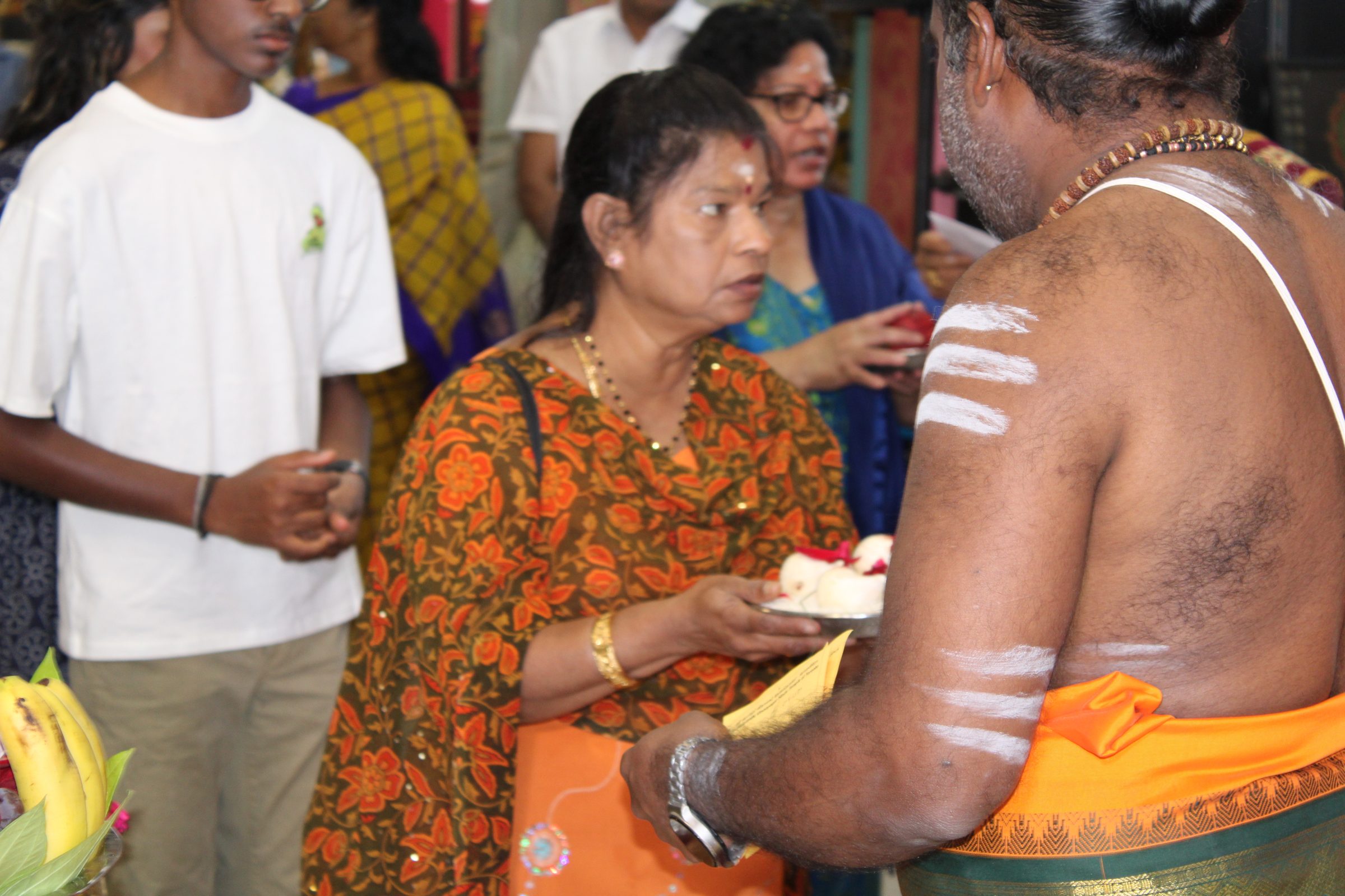 Festival 2024 photo