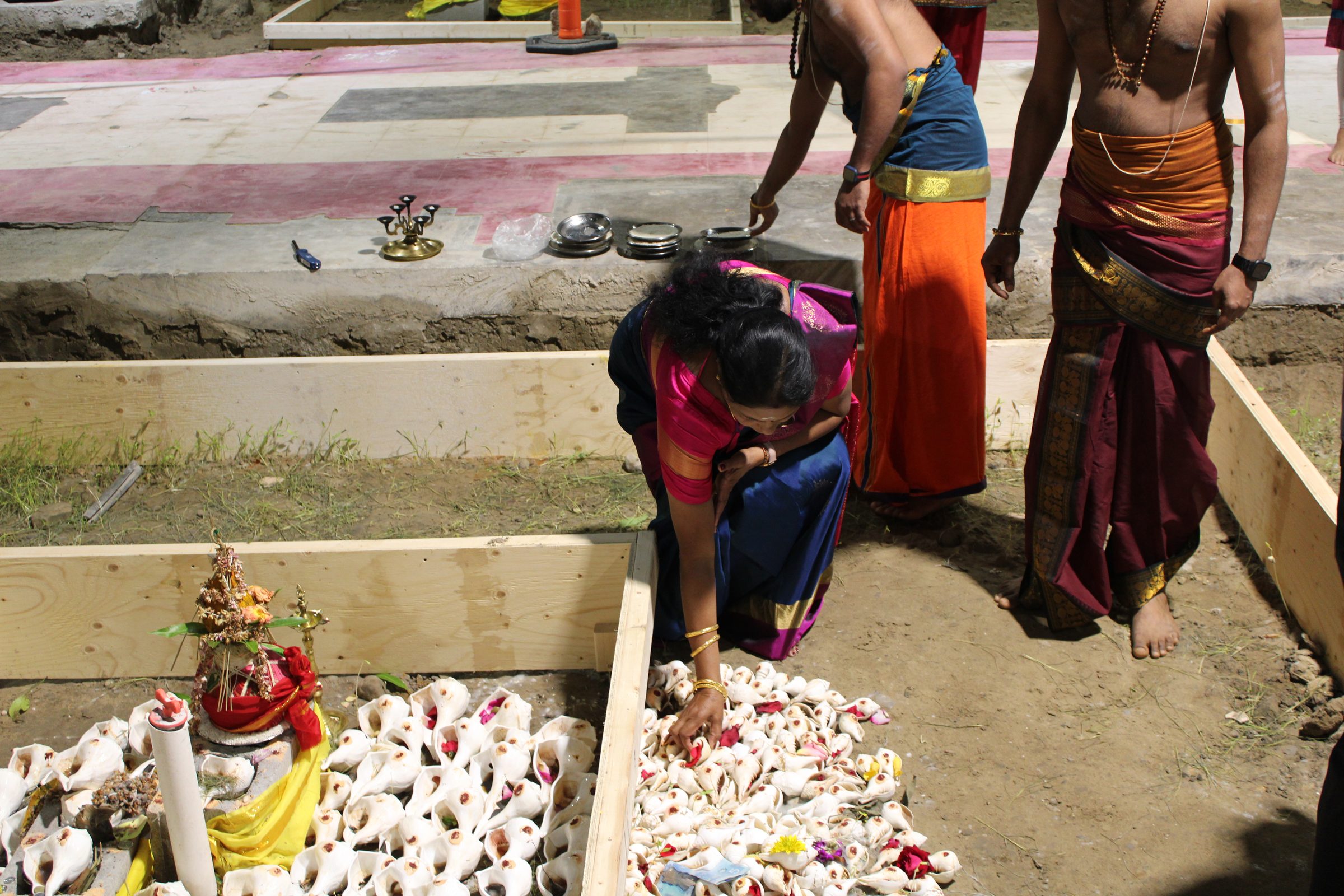 Festival 2024 photo
