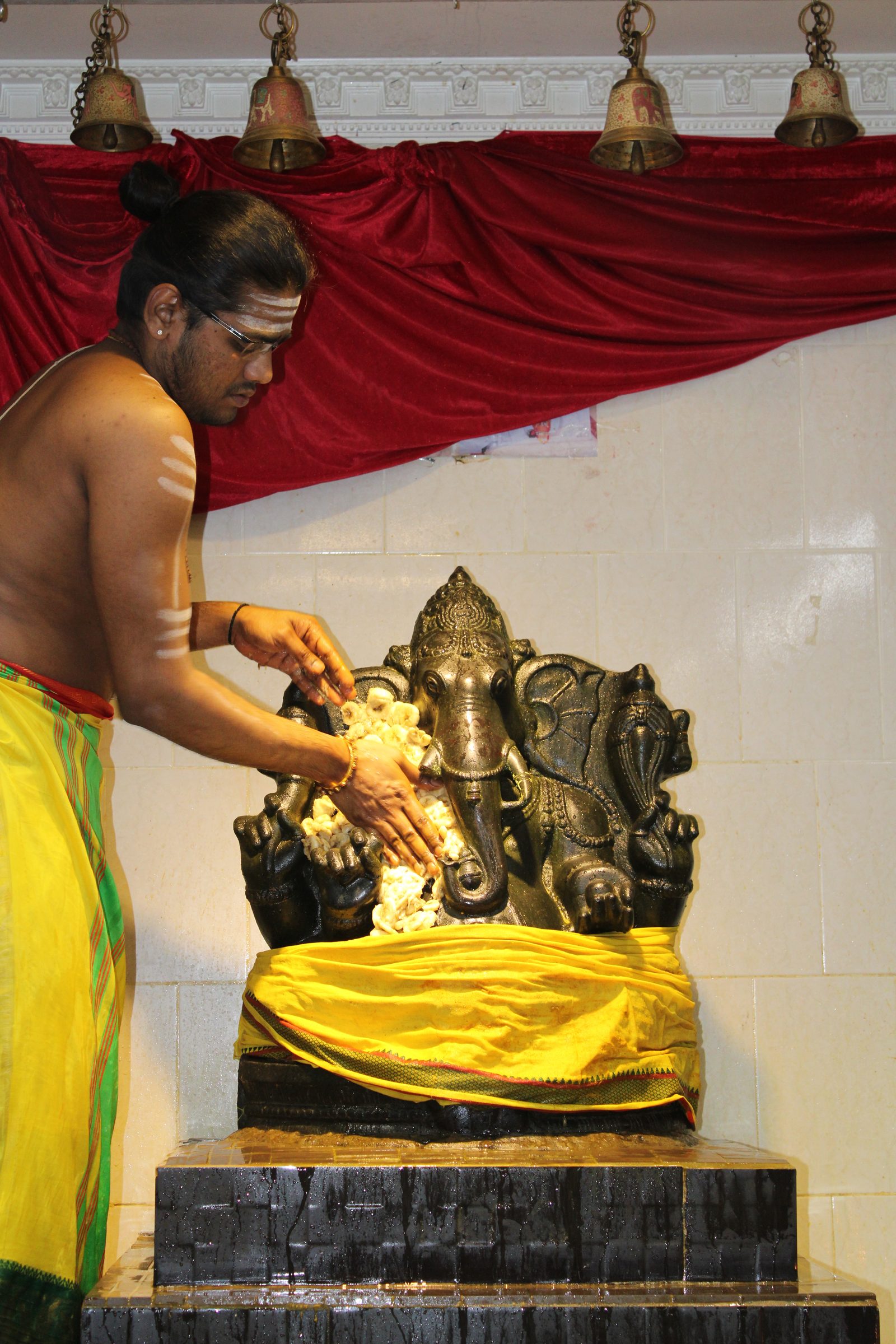 Festival 2024 photo