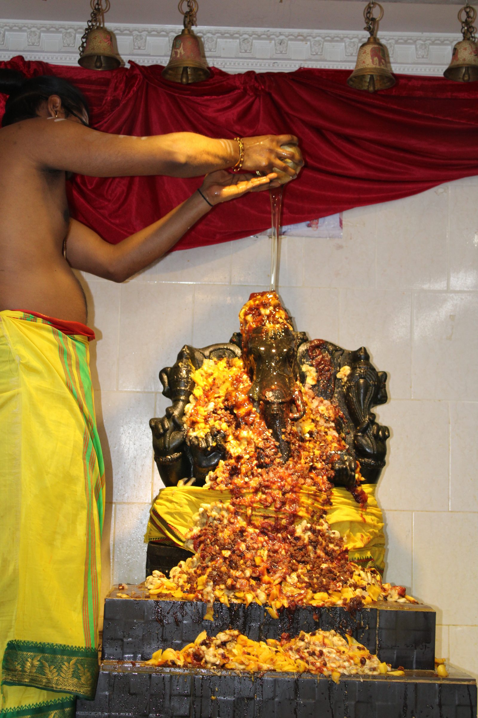Festival 2024 photo