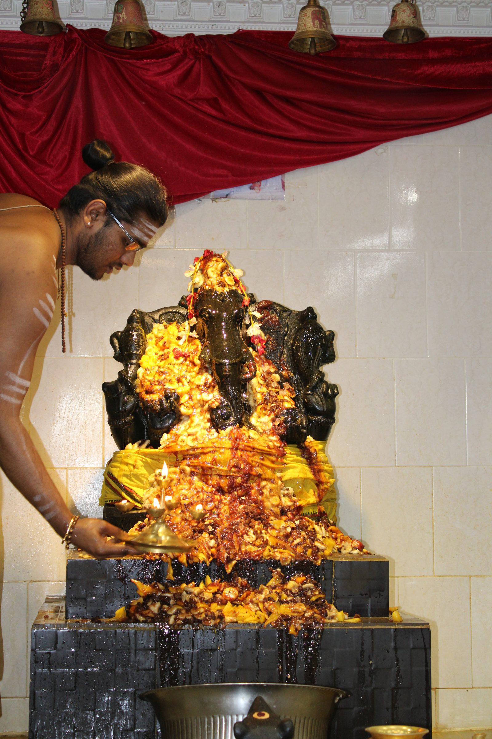 Festival 2024 photo