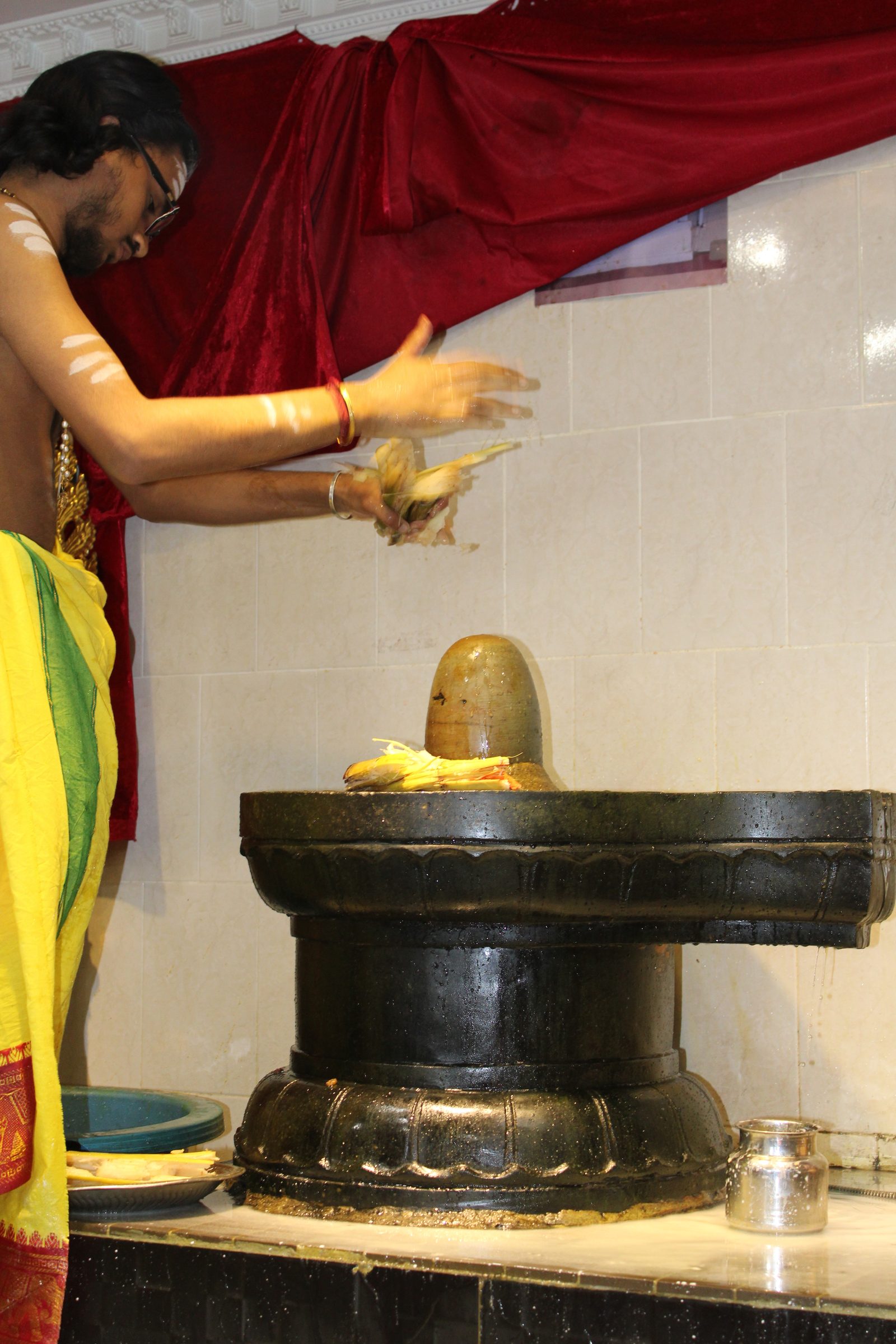 Festival 2024 photo