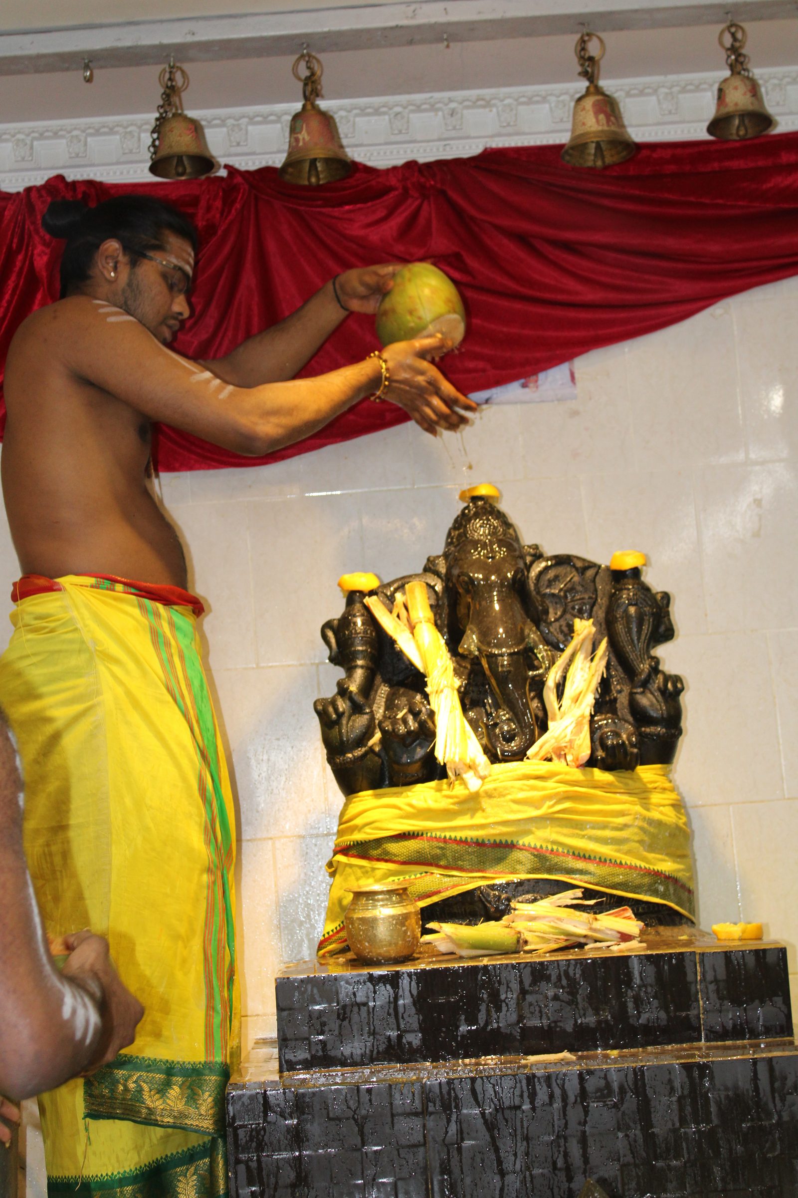 Festival 2024 photo