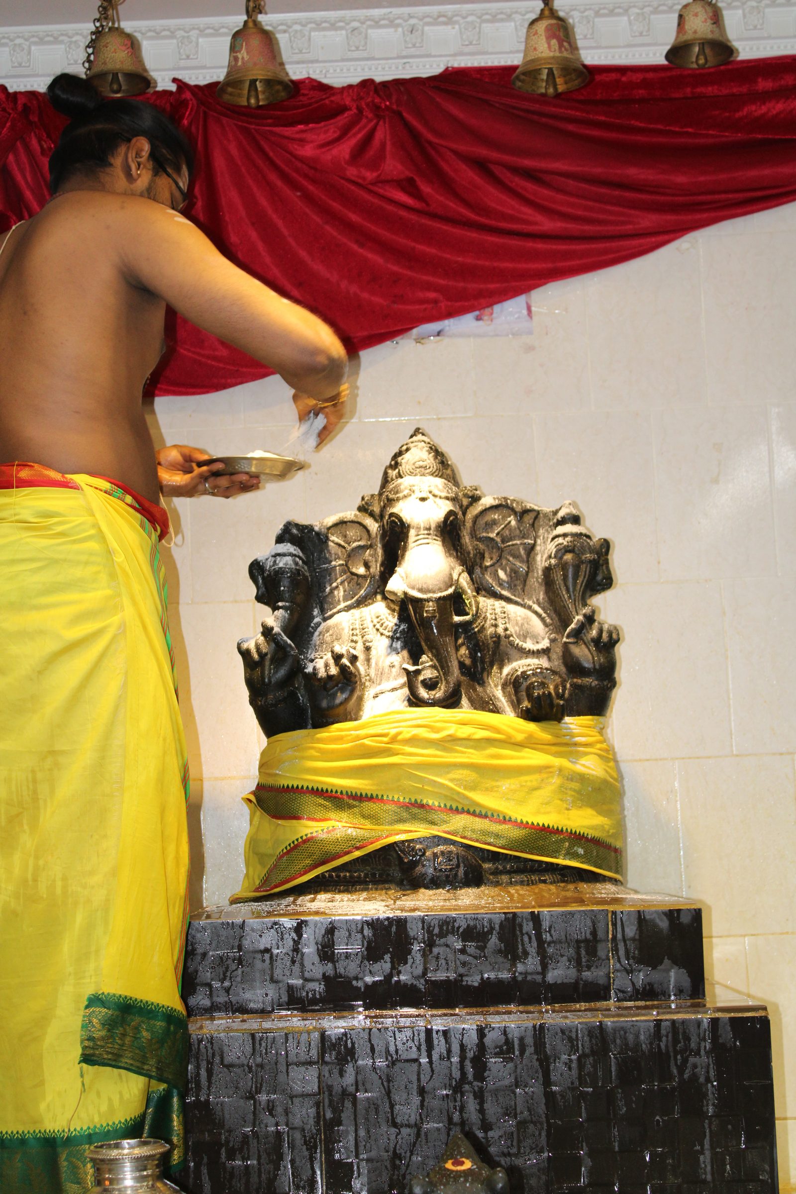 Festival 2024 photo