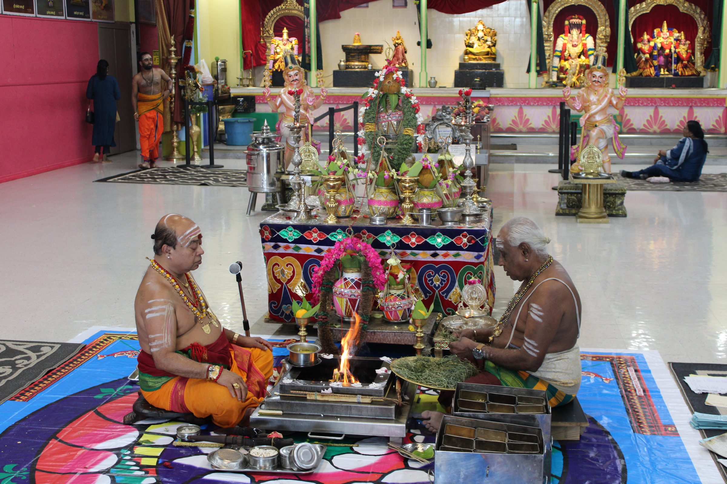 Festival 2024 photo