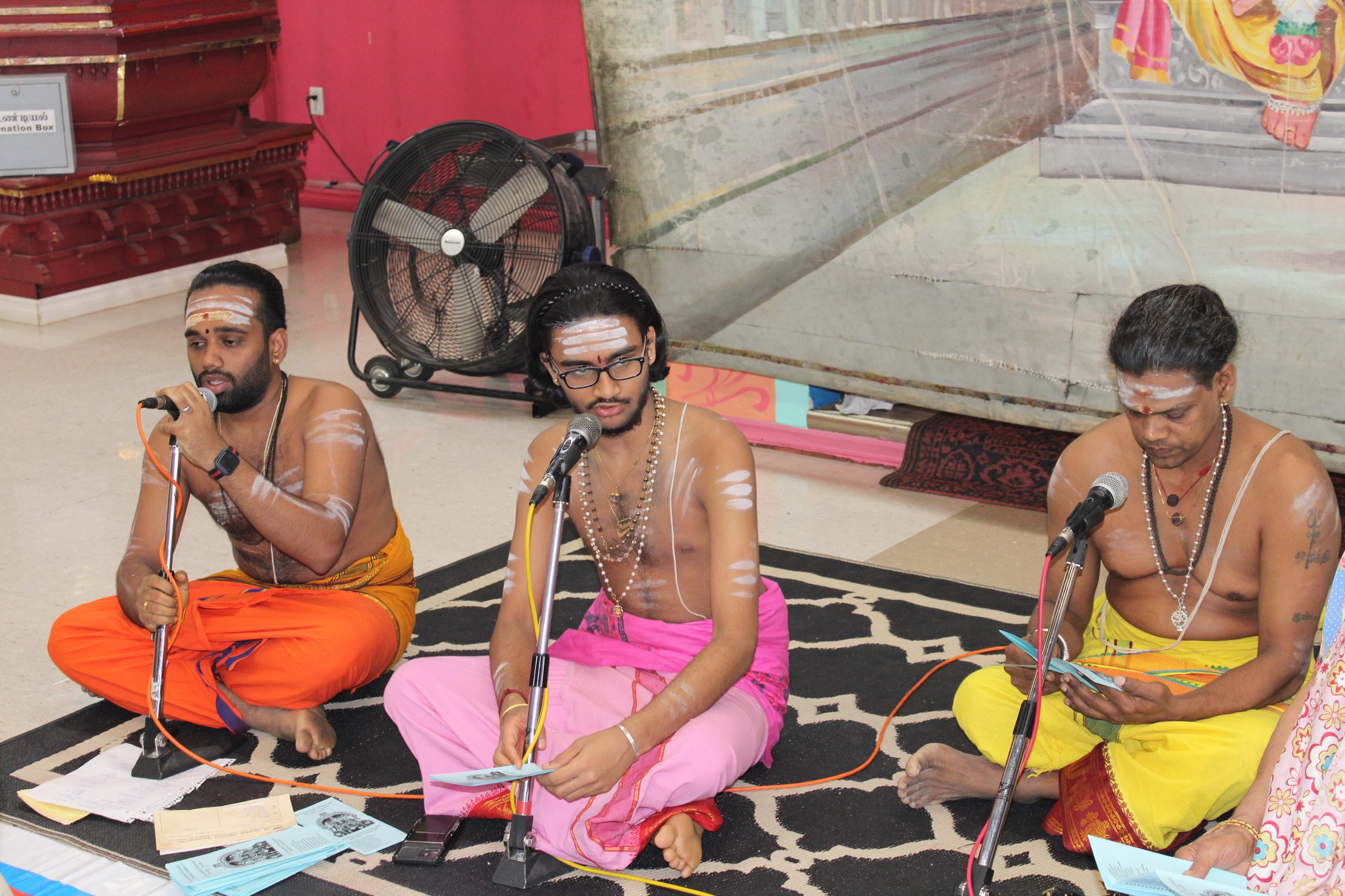 Festival 2024 photo