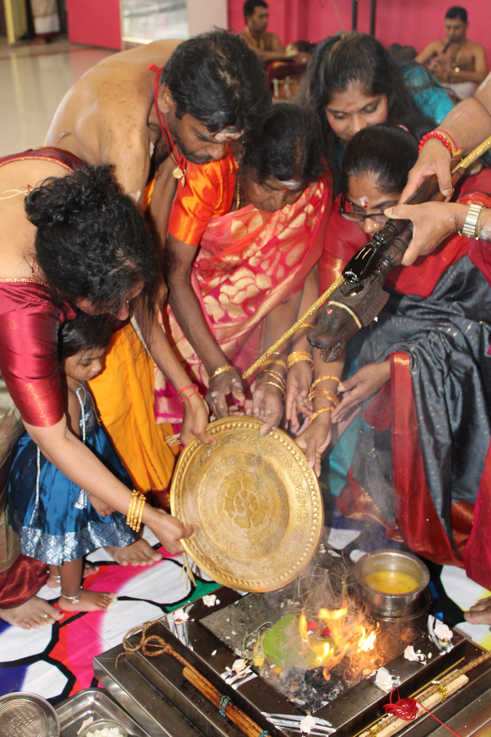 Festival 2024 photo