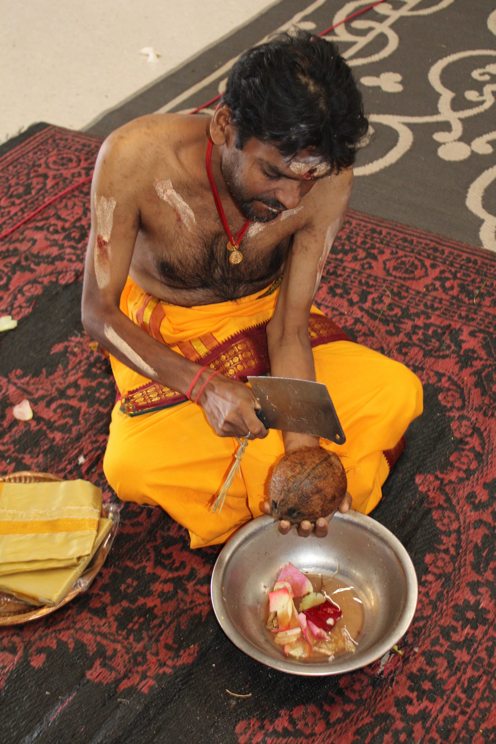 Festival 2024 photo