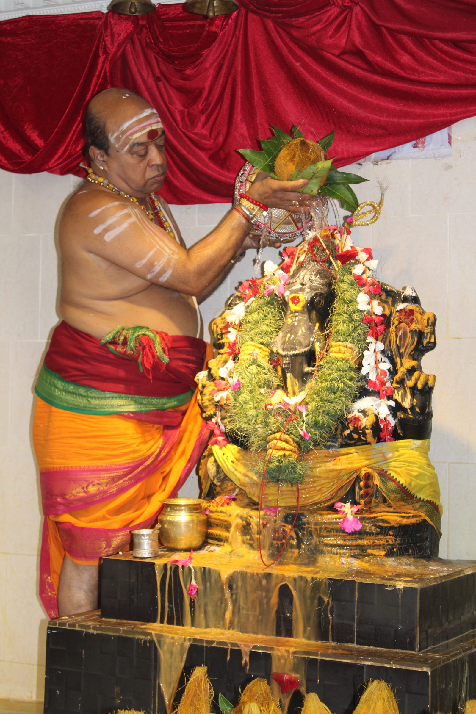 Festival 2024 photo