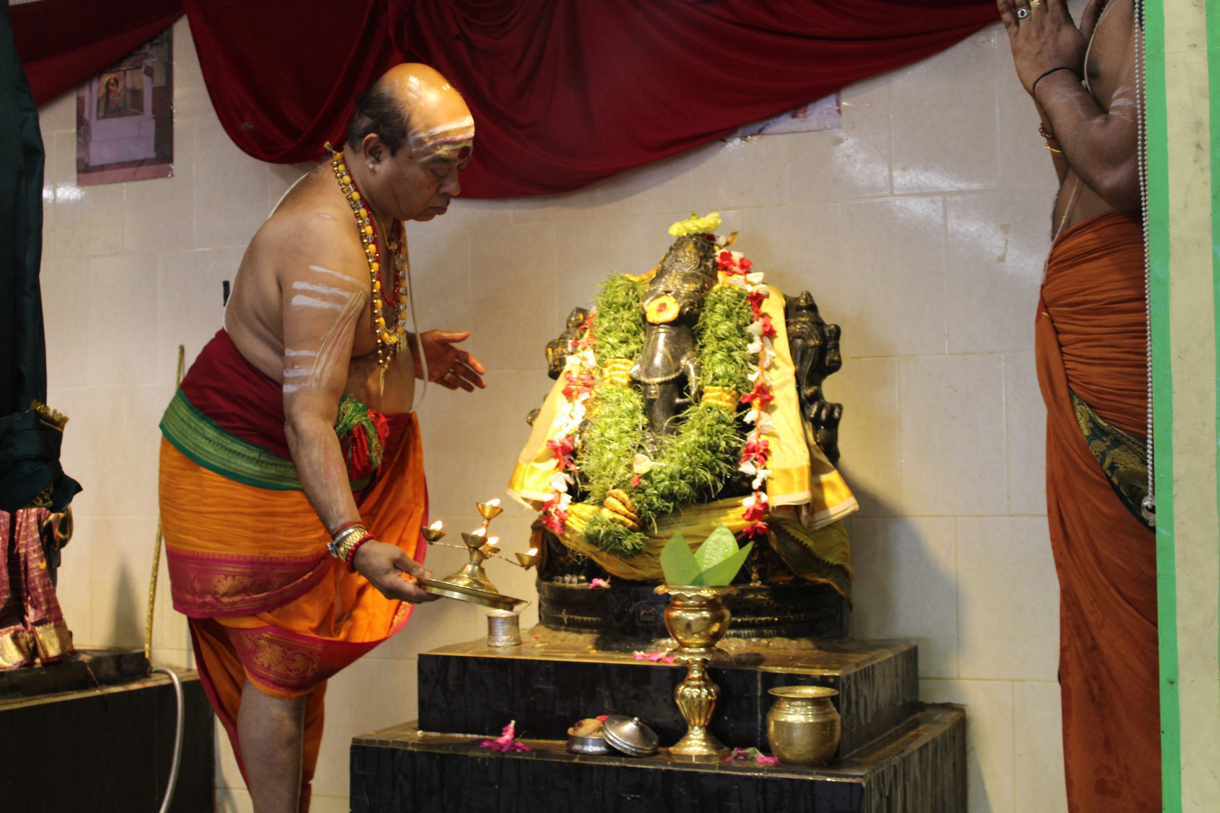 Festival 2024 photo