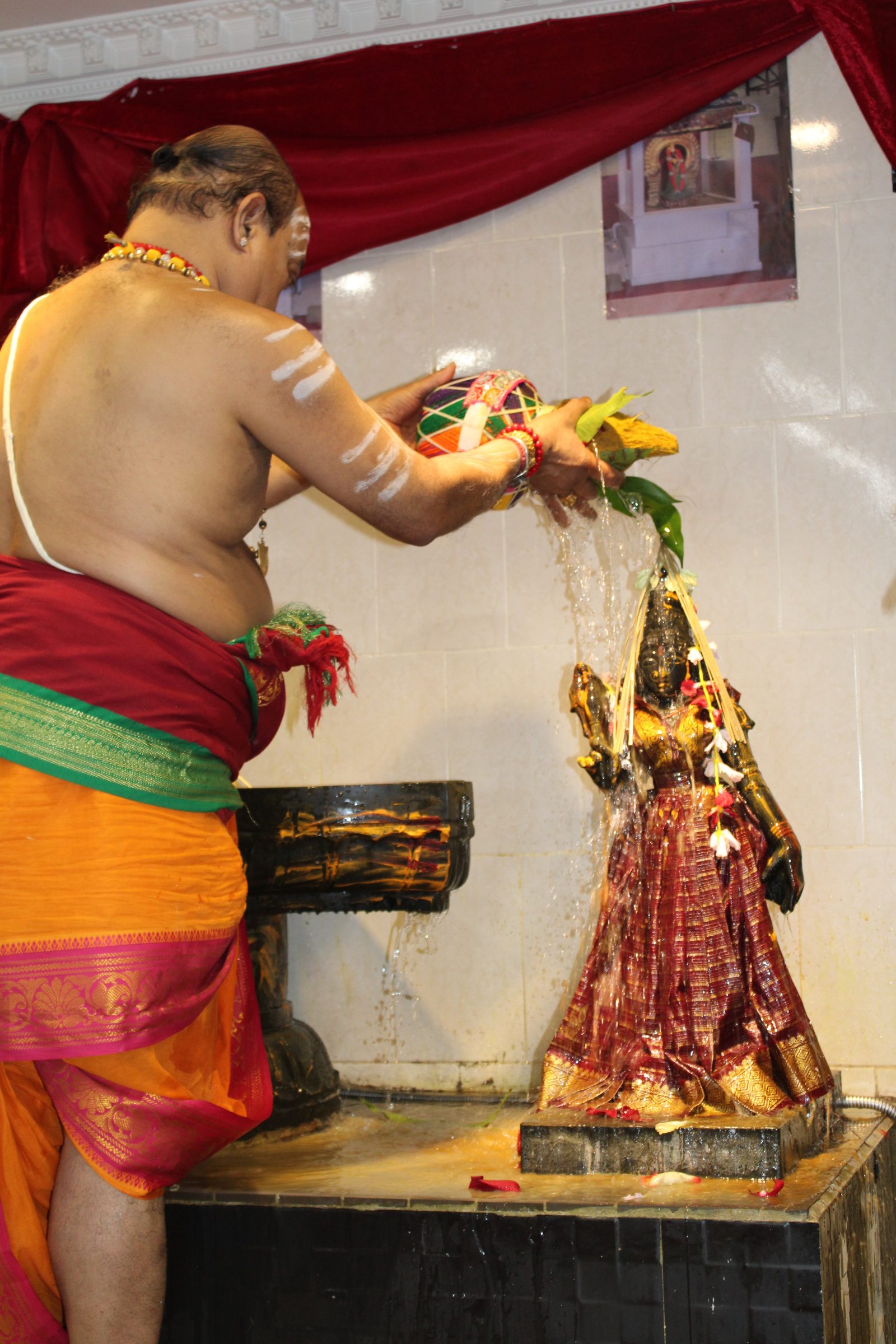 Festival 2024 photo