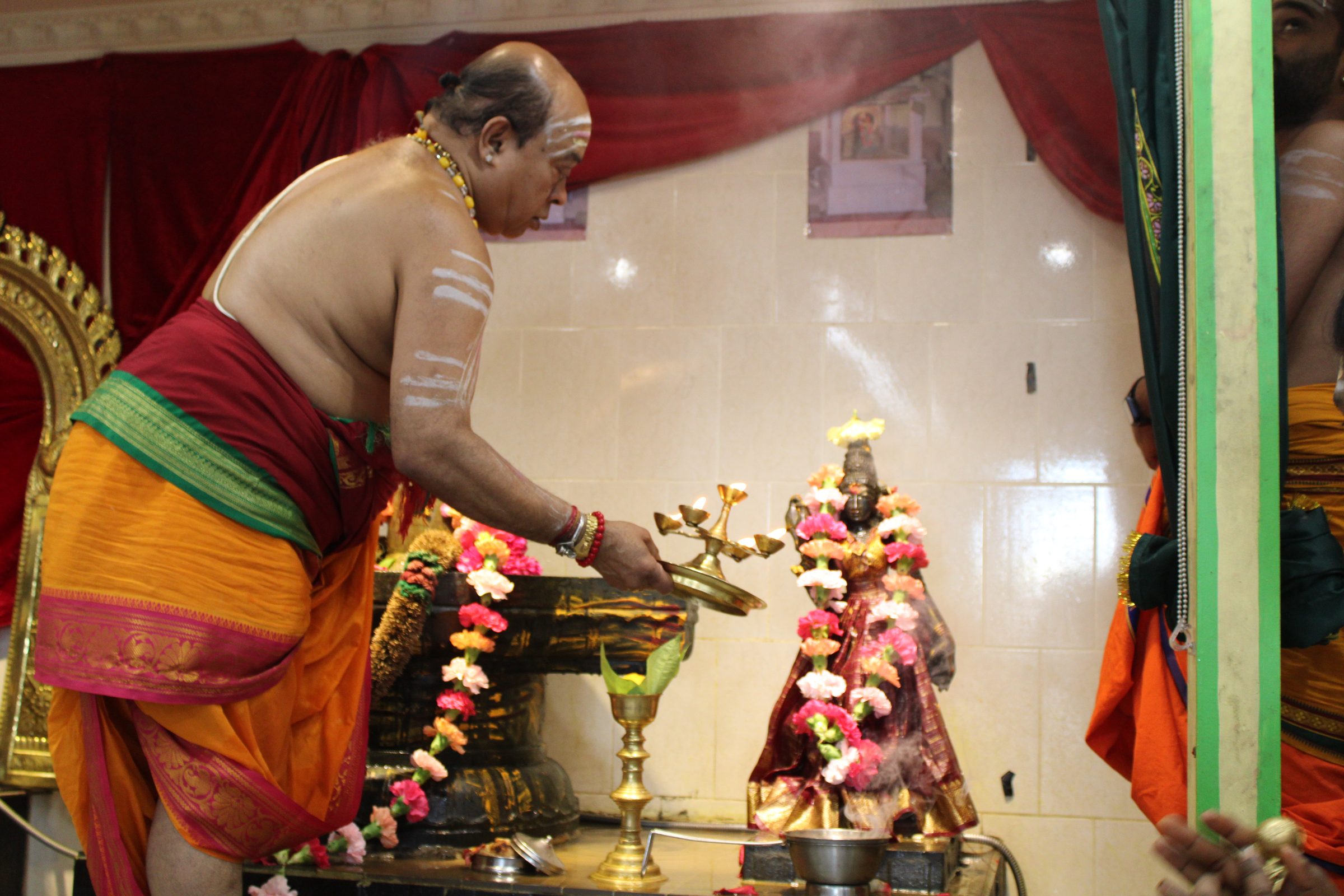 Festival 2024 photo
