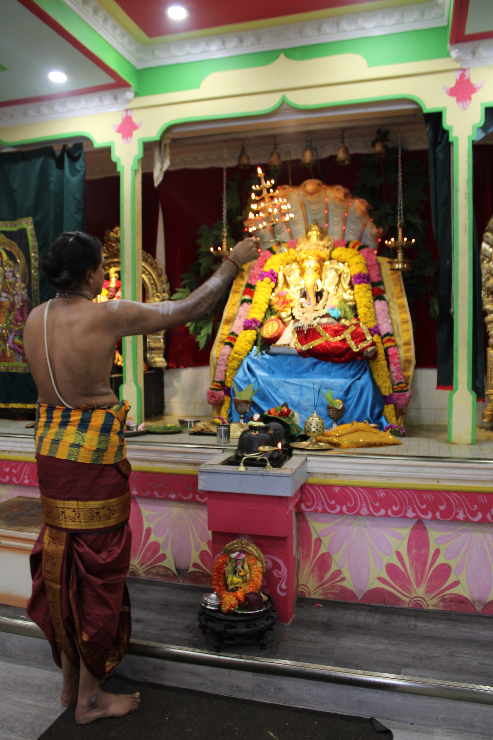 Festival 2024 photo