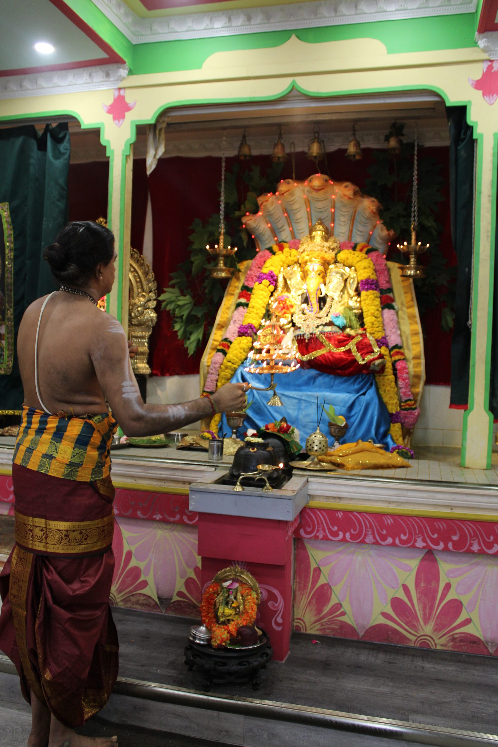 Festival 2024 photo