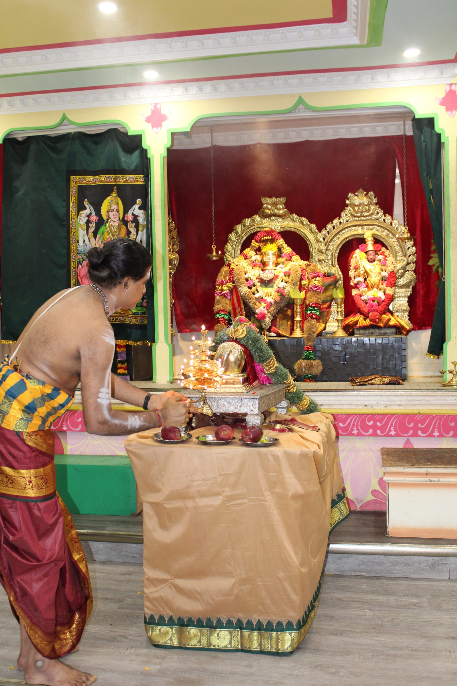 Festival 2024 photo