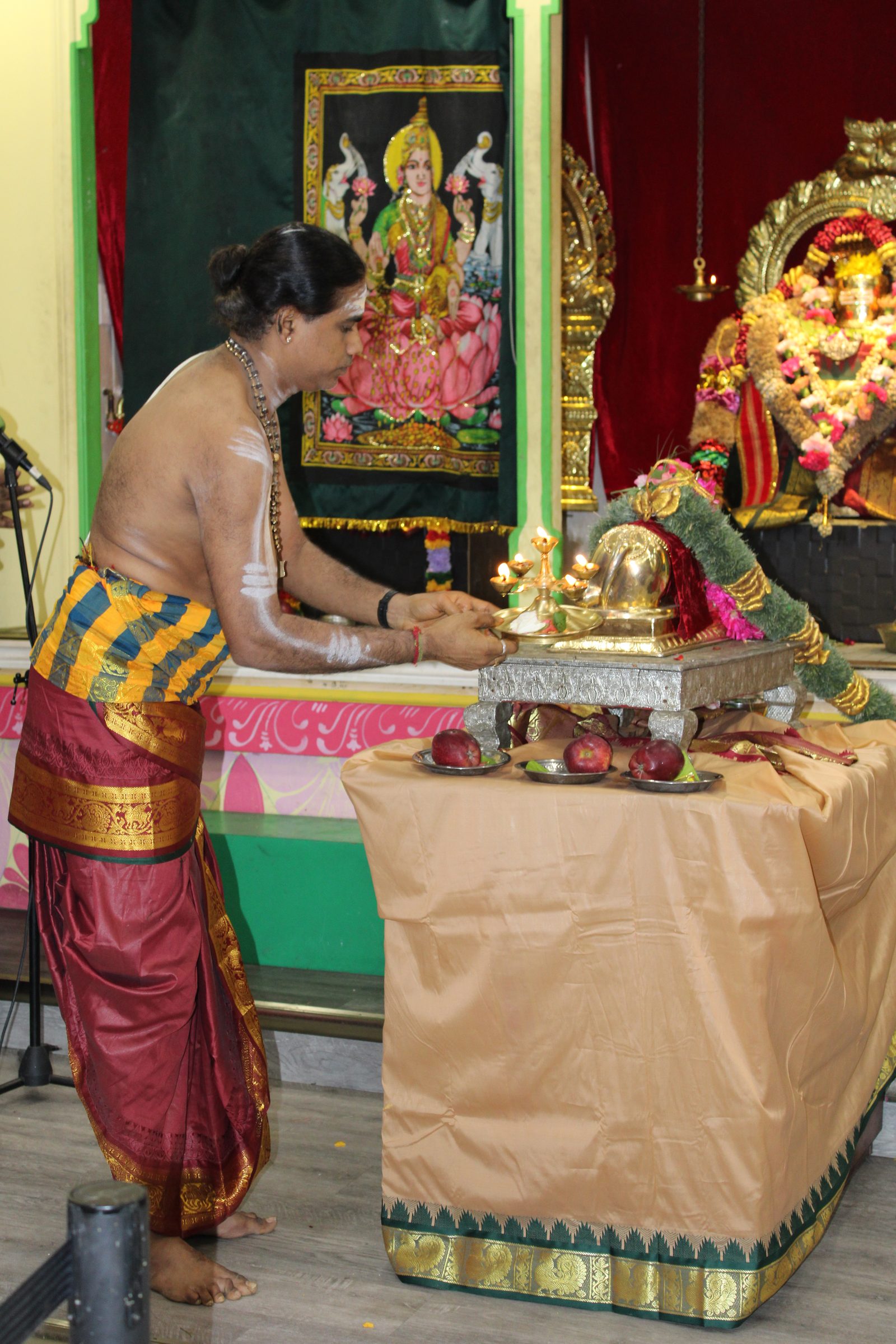 Festival 2024 photo