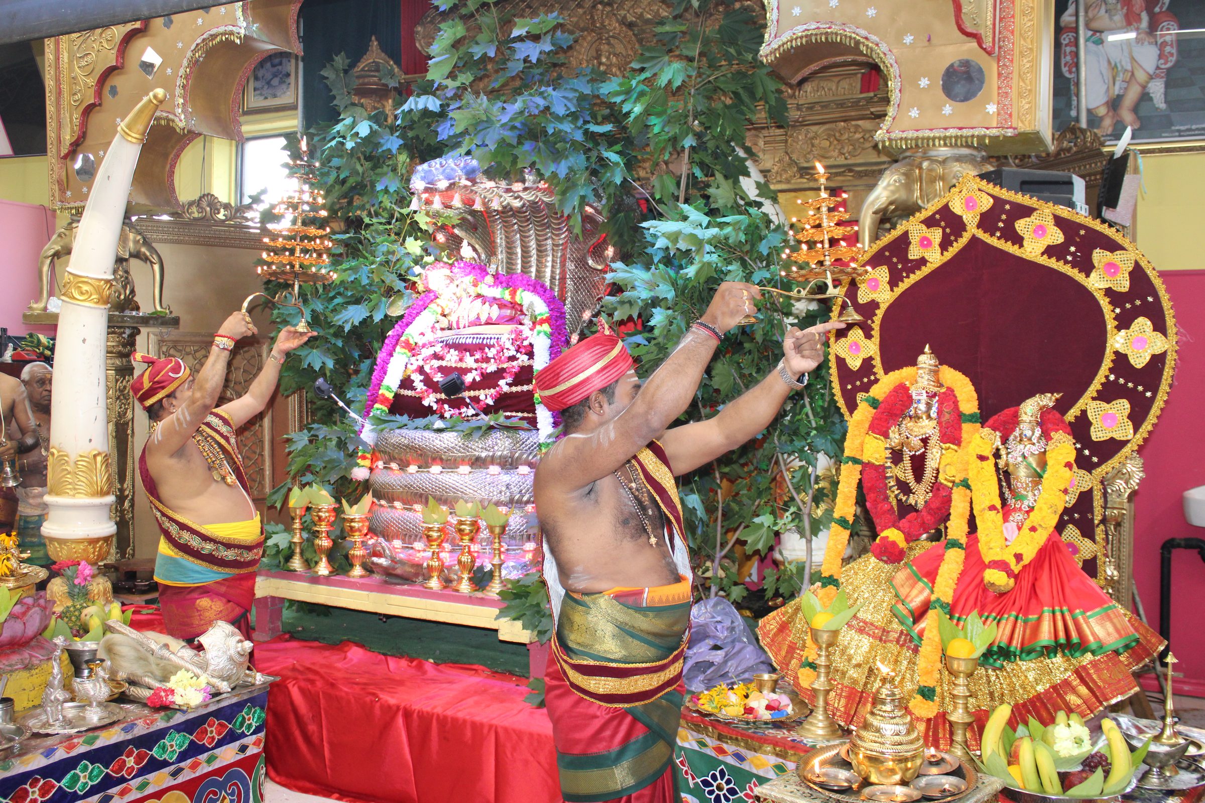 Festival 2024 photo