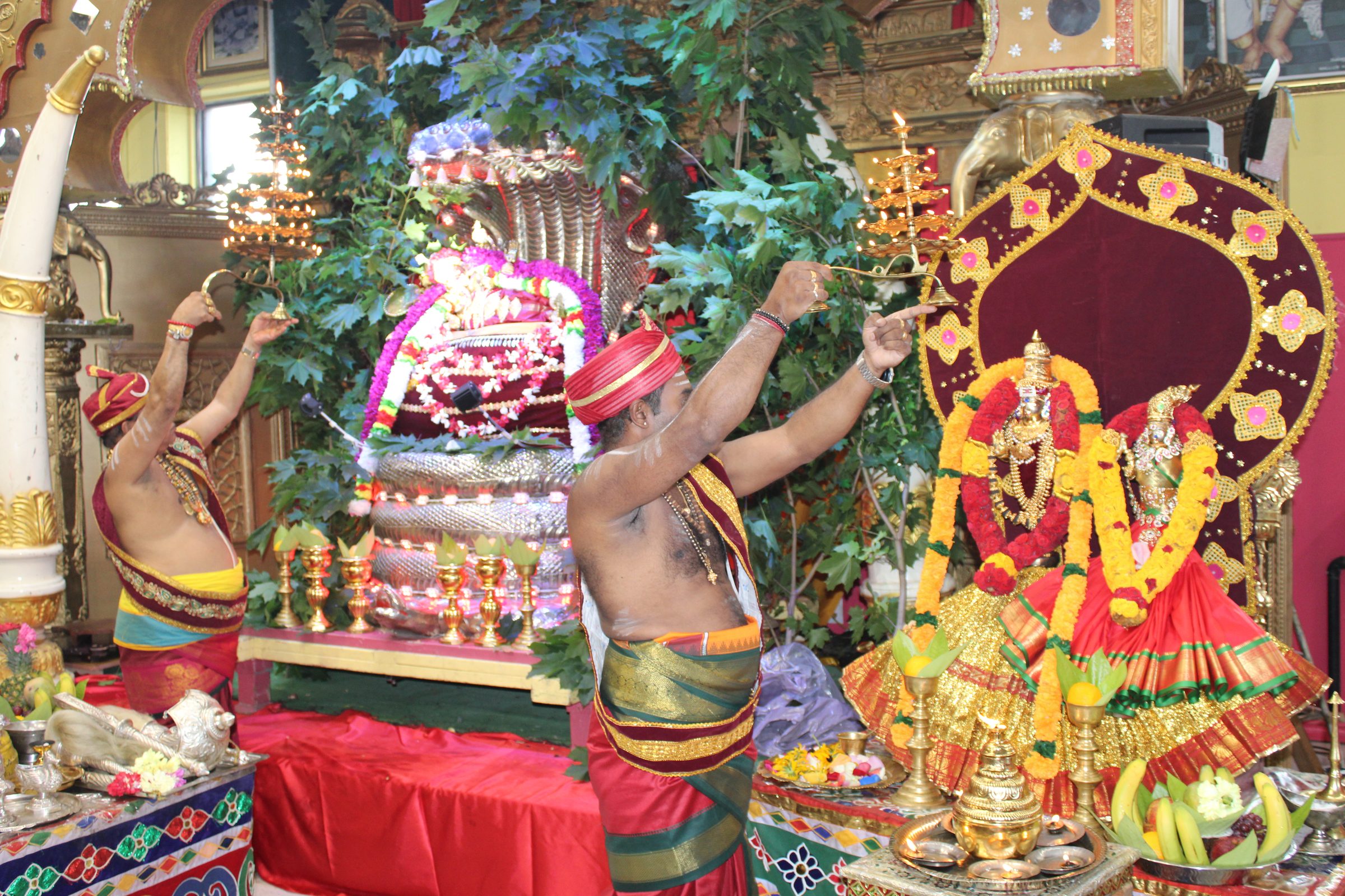 Festival 2024 photo