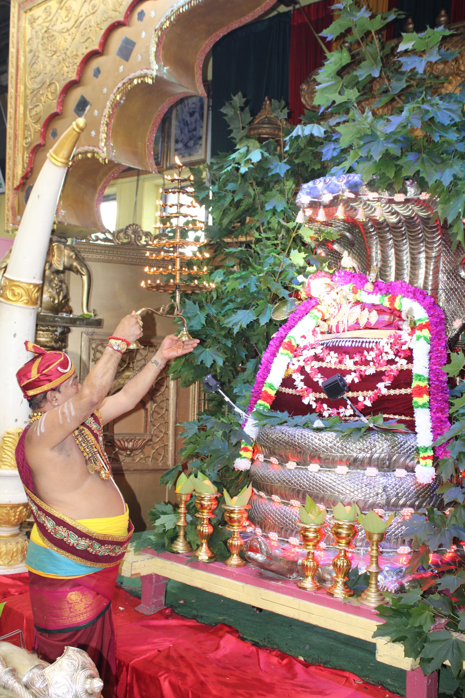 Festival 2024 photo