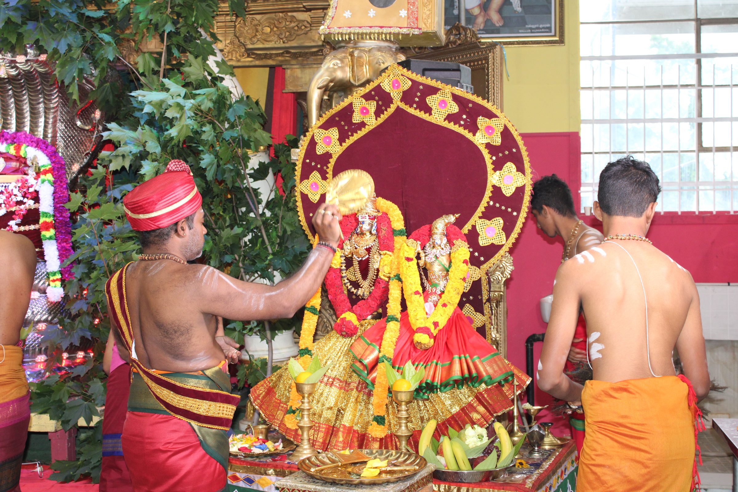 Festival 2024 photo