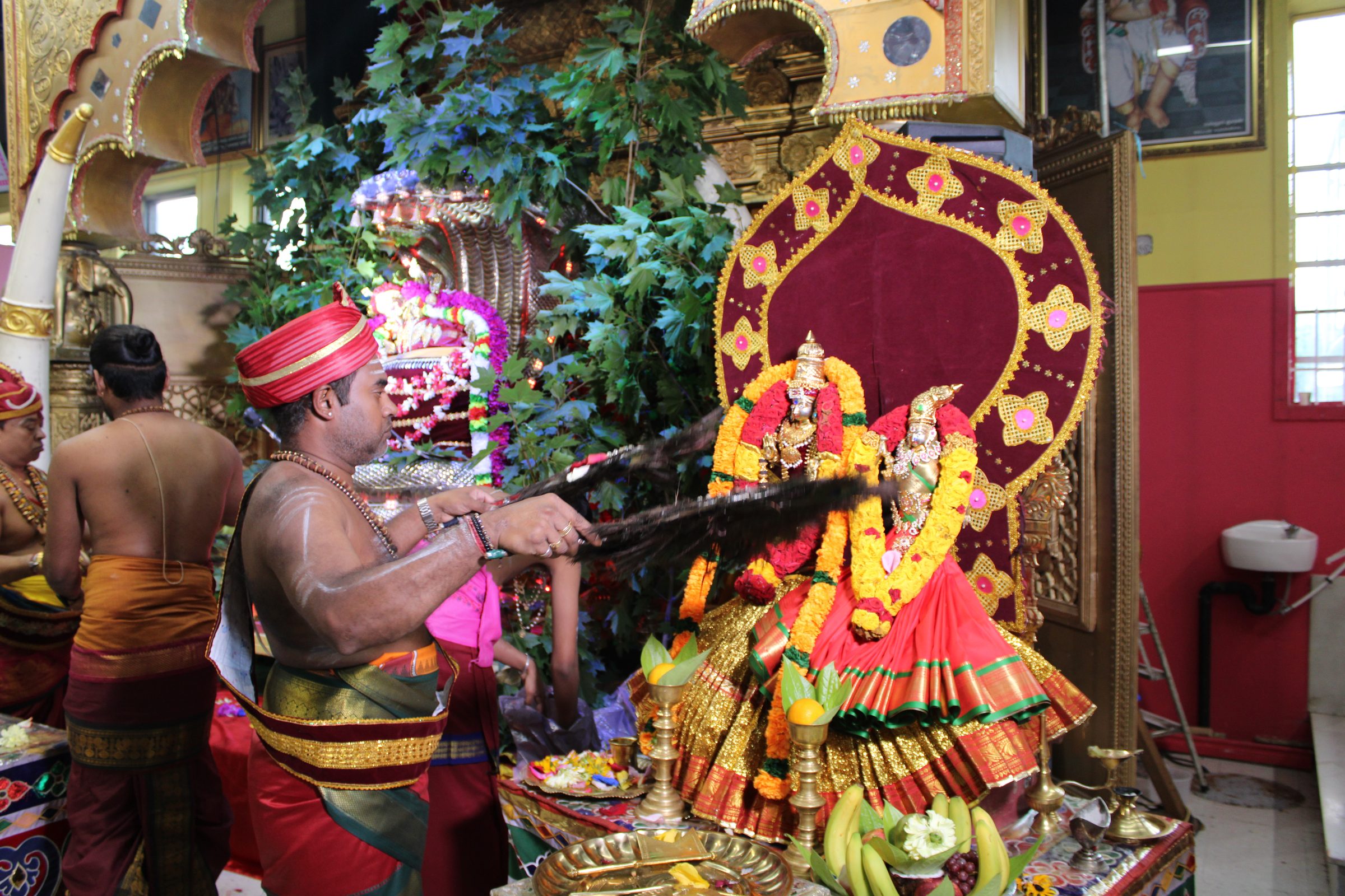 Festival 2024 photo