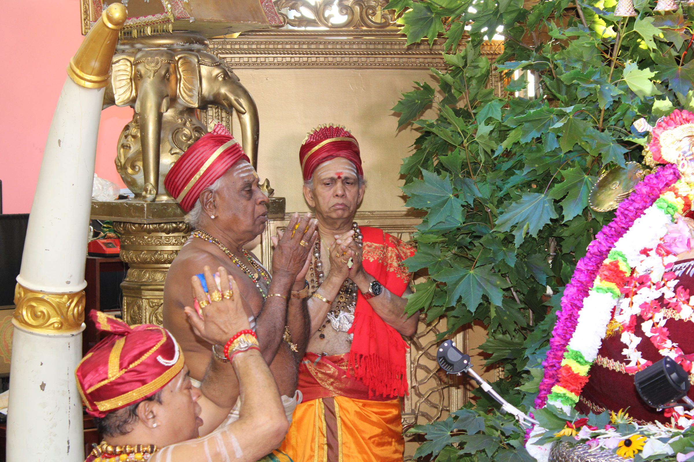 Festival 2024 photo