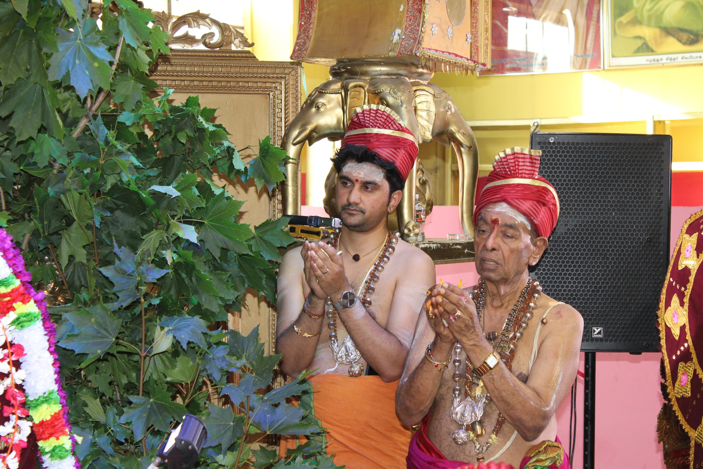 Festival 2024 photo